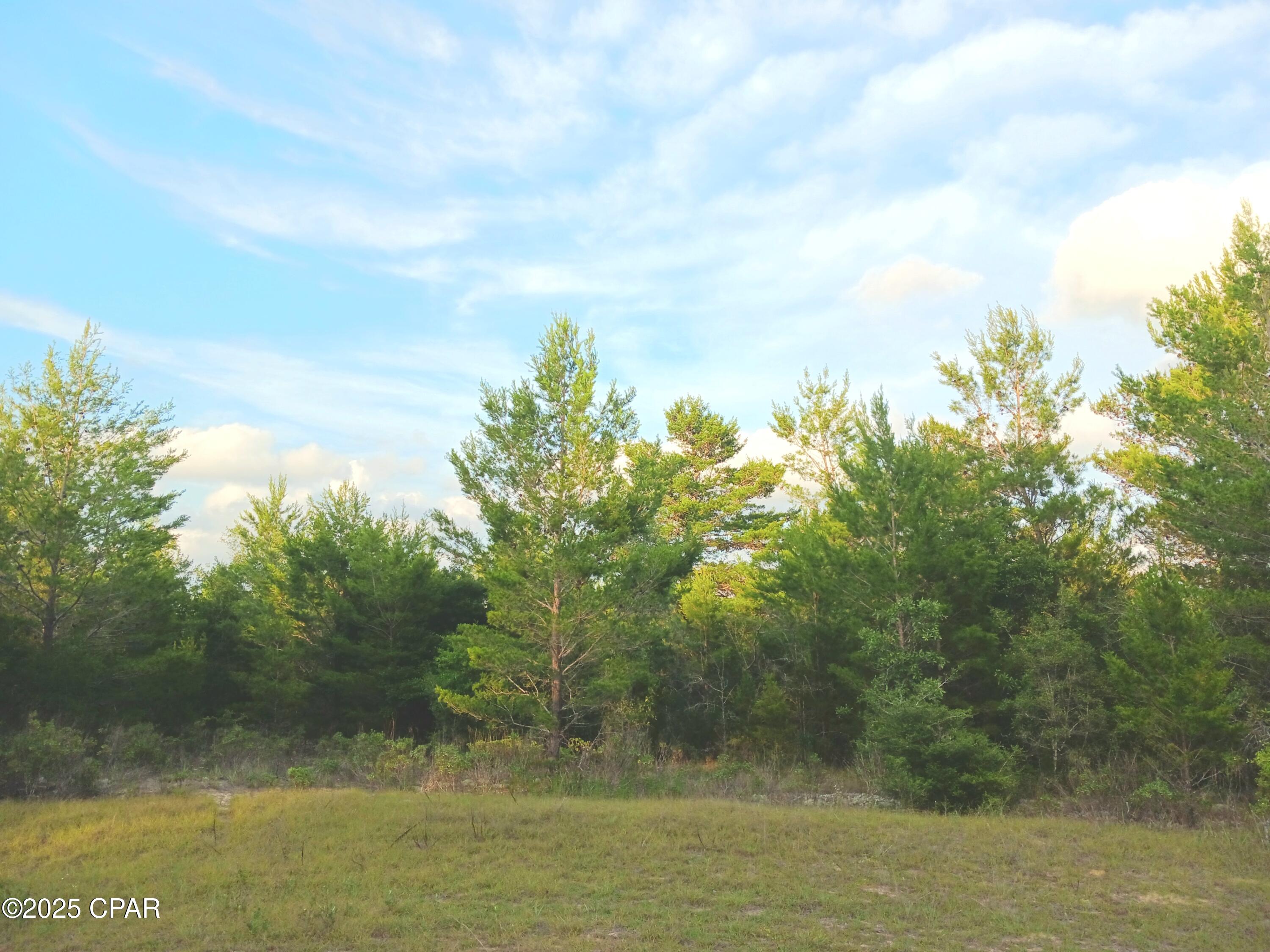 Image 1 For Lot 17 Tassel Court