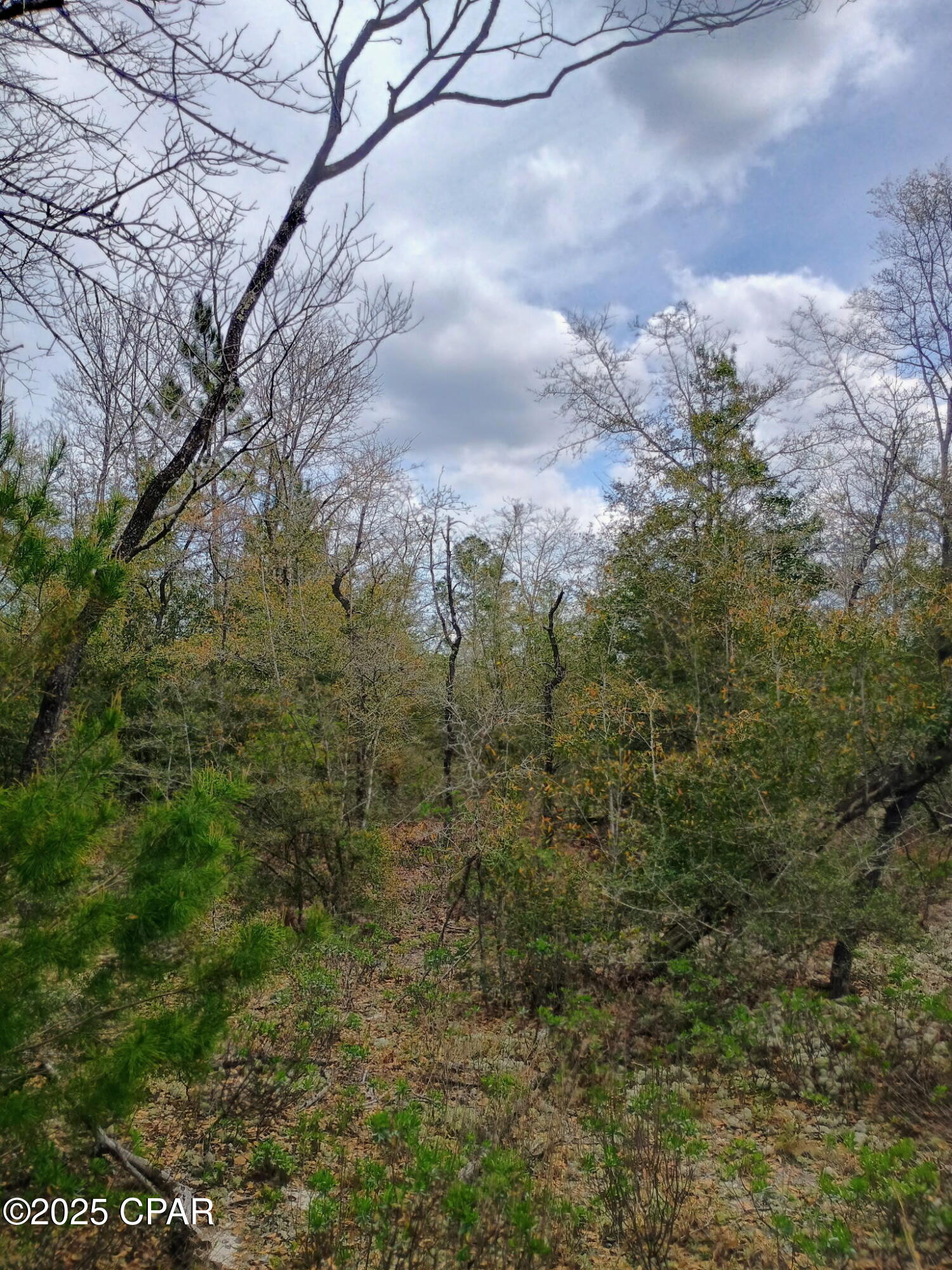 Image 14 For 000 Dickerson Road
