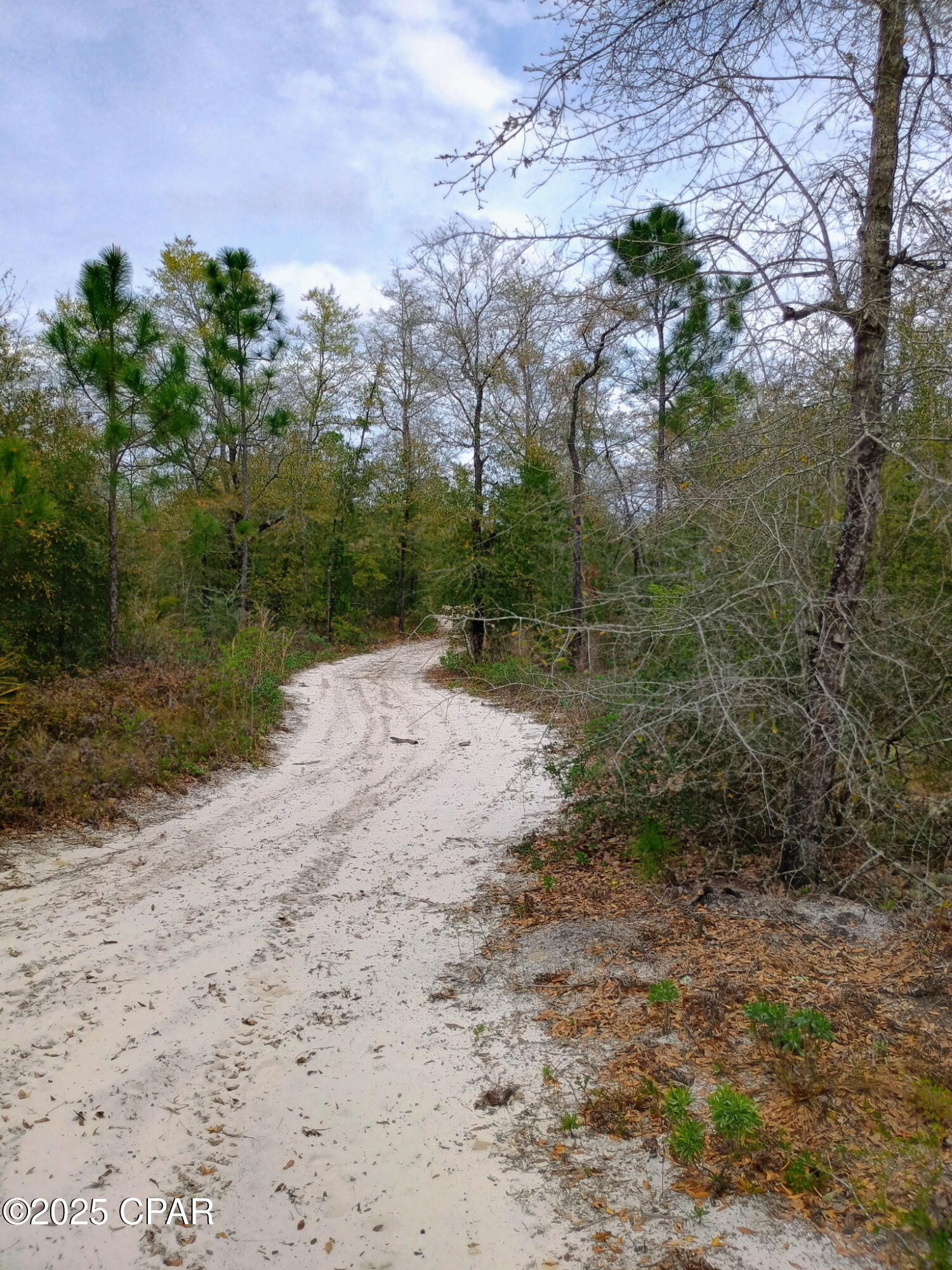 Image 6 For 001 Dickerson Road