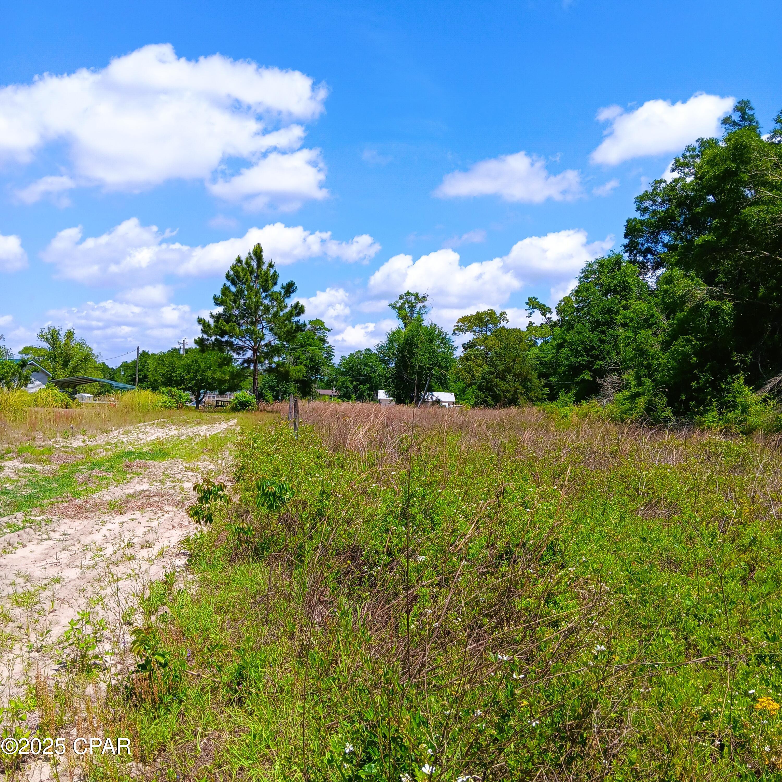 W Fort Road, Greenwood, Florida image 2
