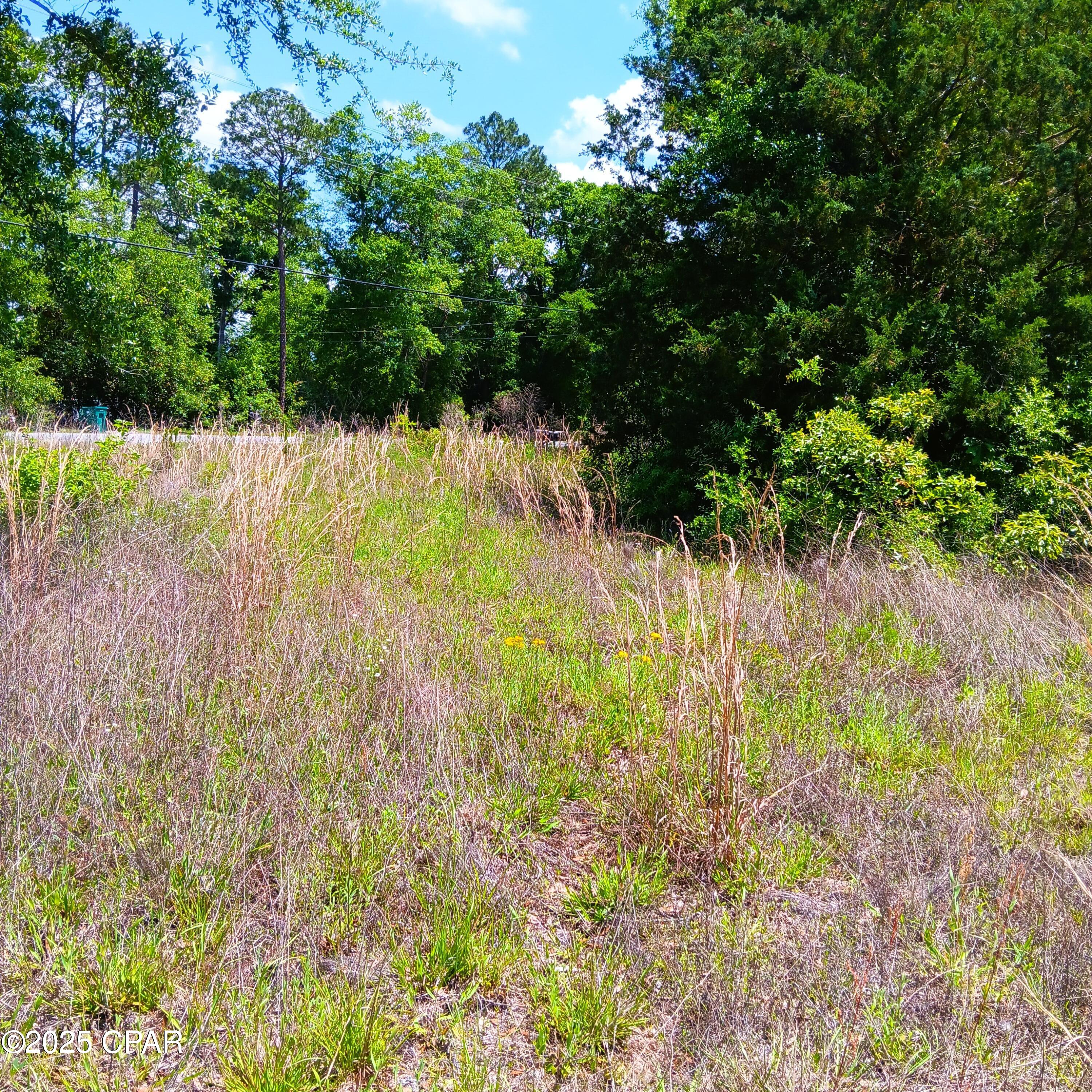 W Fort Road, Greenwood, Florida image 4