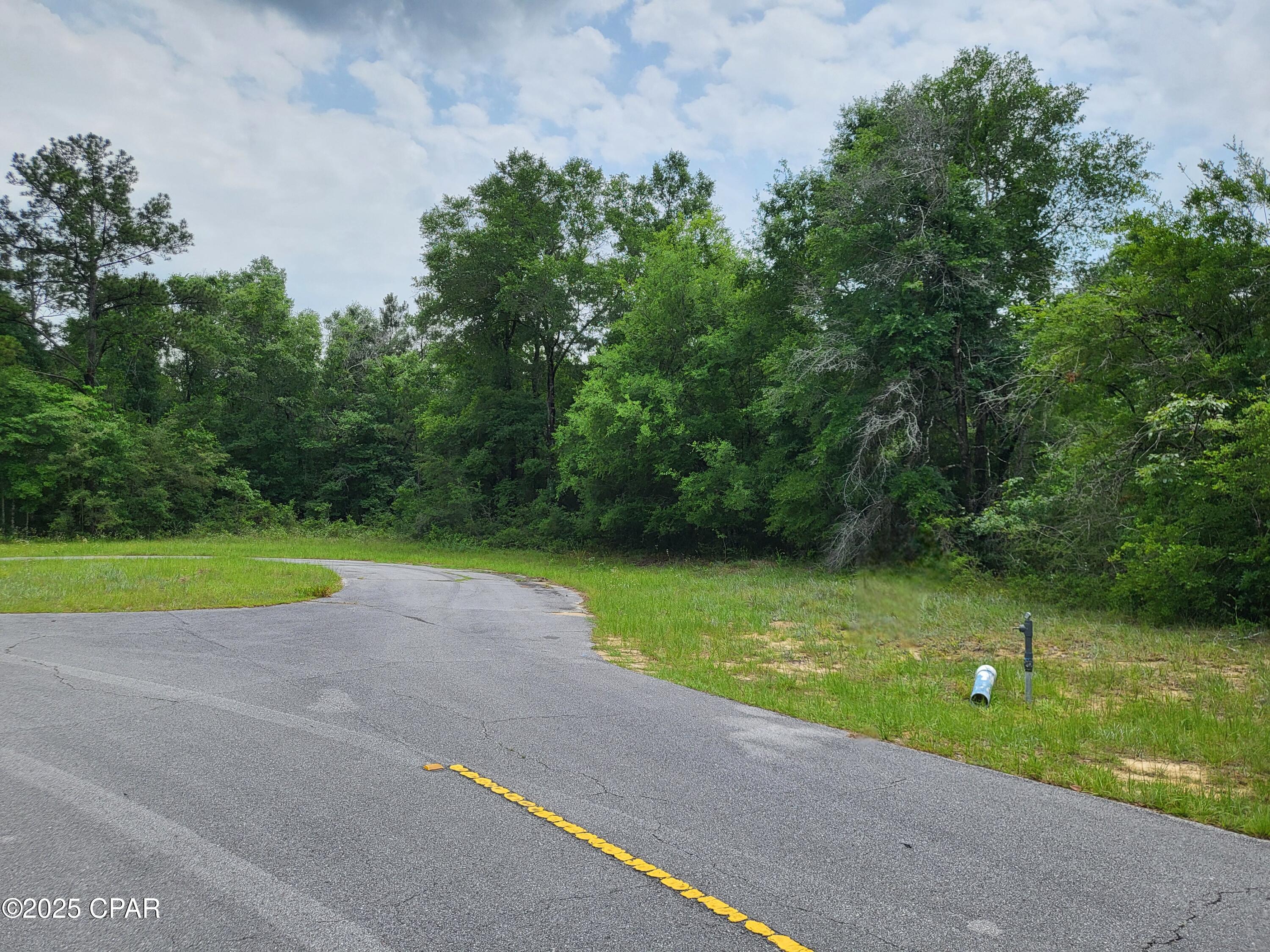 TBD Deer Court, Chipley, Florida image 3