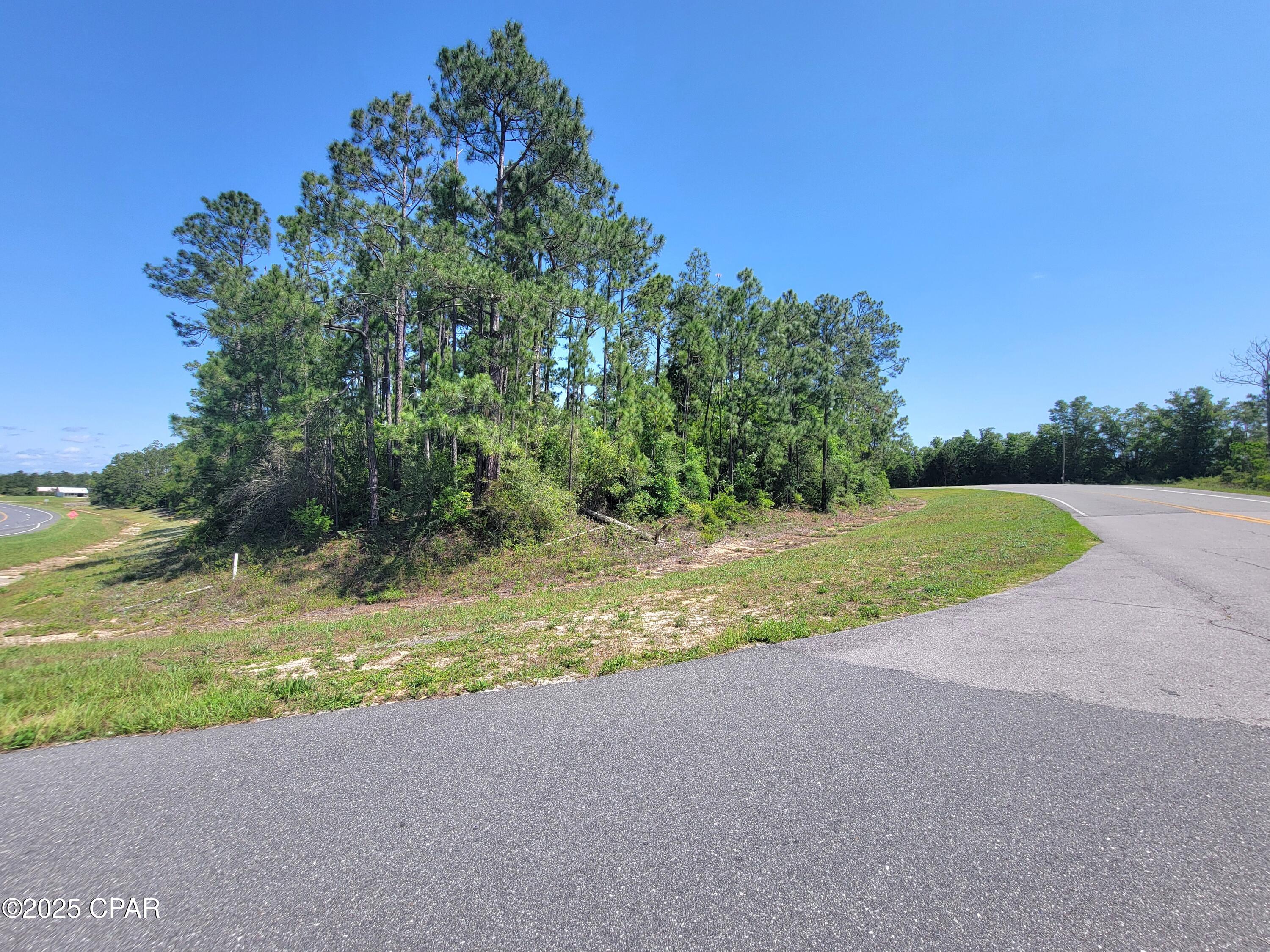 TBD Us-231, Alford, Florida image 2