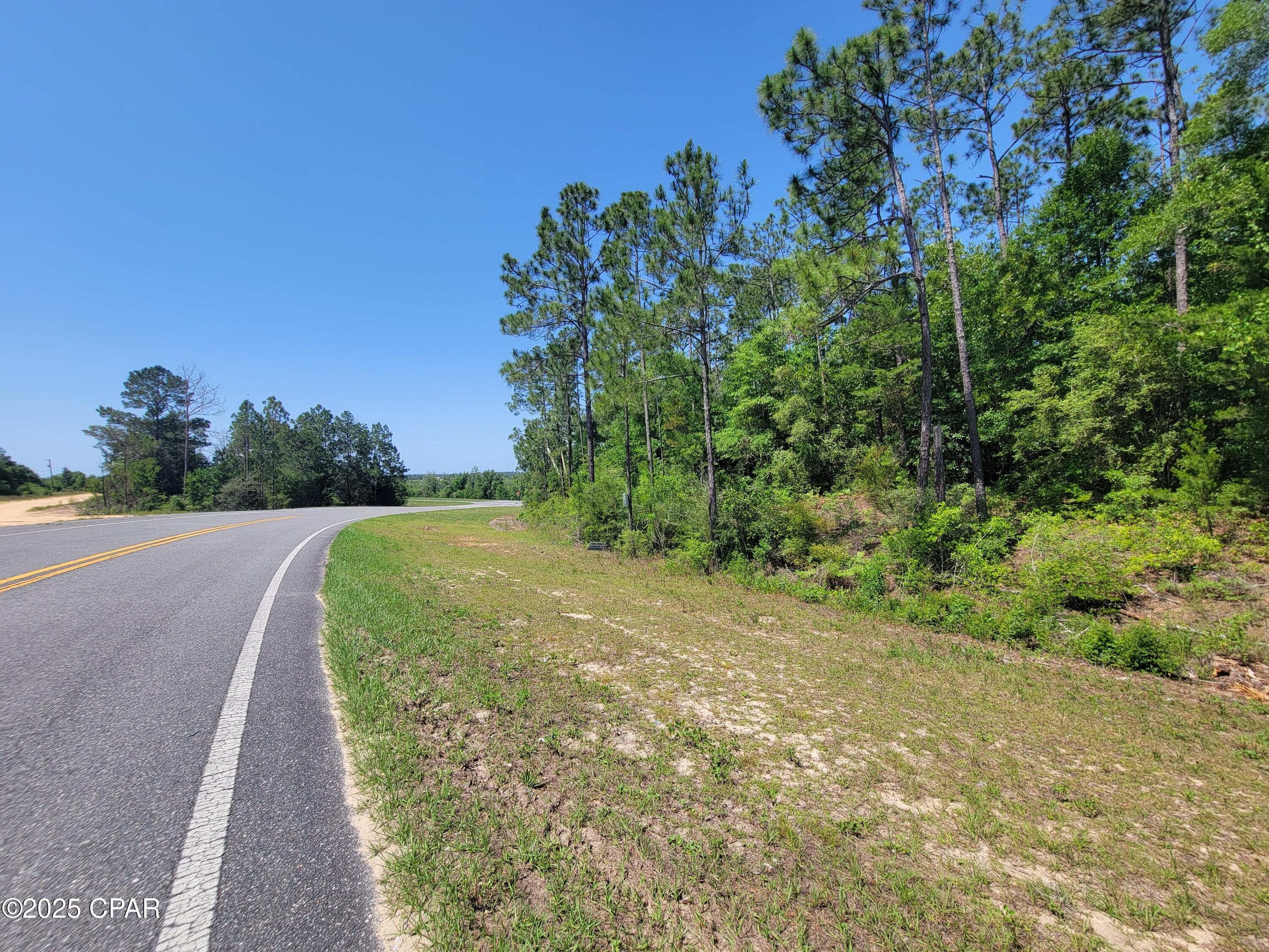 TBD Us-231, Alford, Florida image 3