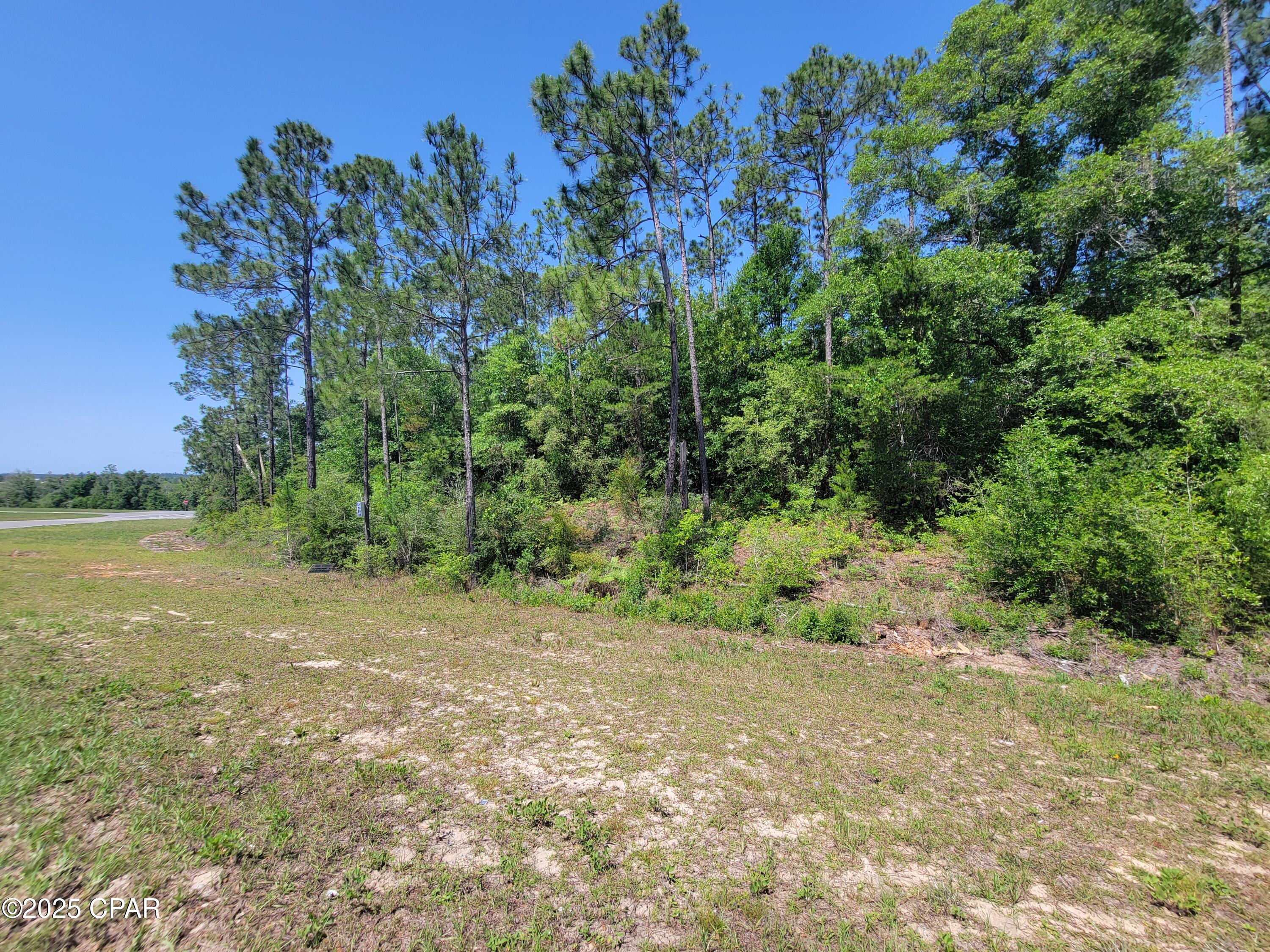 TBD Us-231, Alford, Florida image 4