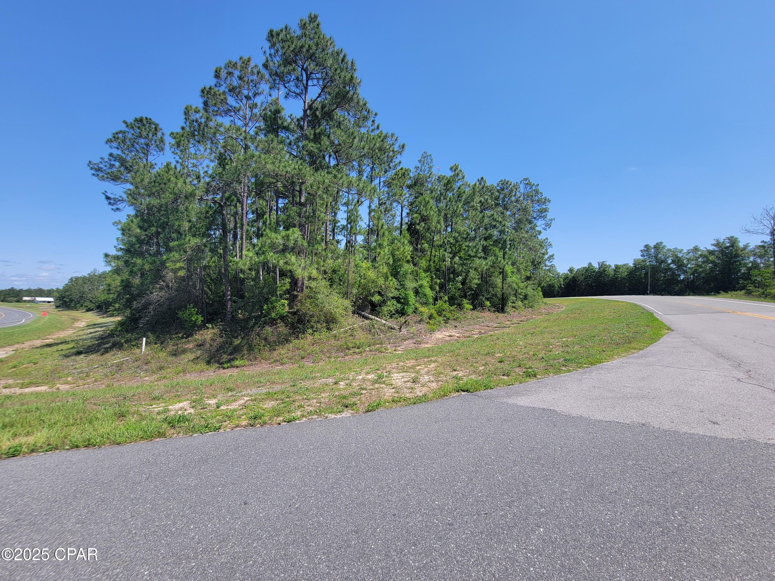 TBD Us-231, Alford, Florida image 5