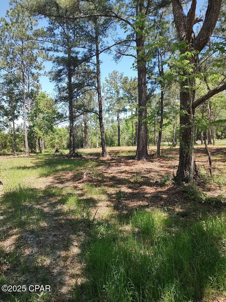 4810 Cr 381, Wewahitchka, Florida image 1