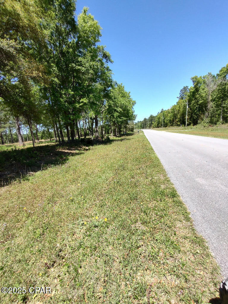 4810 Cr 381, Wewahitchka, Florida image 2
