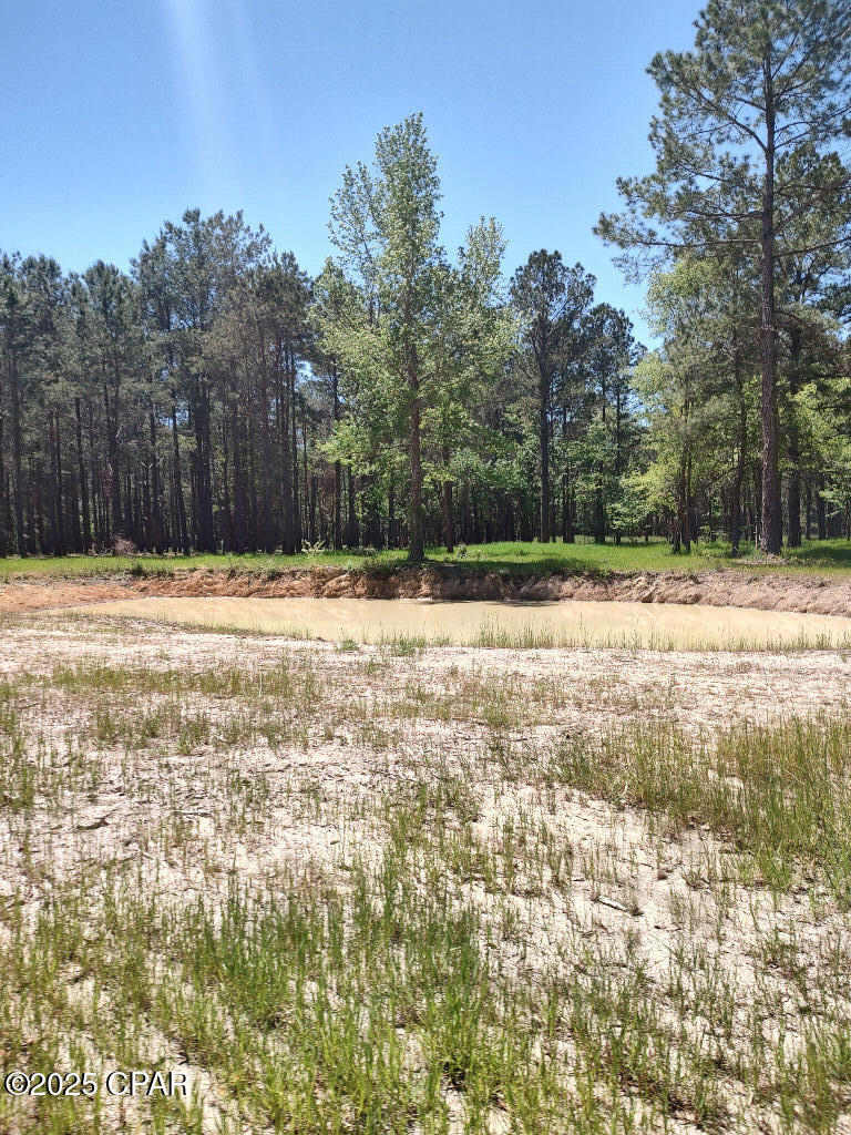 4810 Cr 381, Wewahitchka, Florida image 3