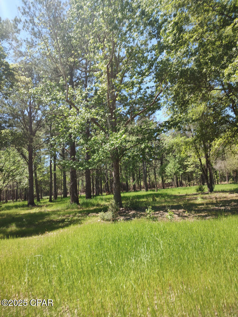4810 Cr 381, Wewahitchka, Florida image 4