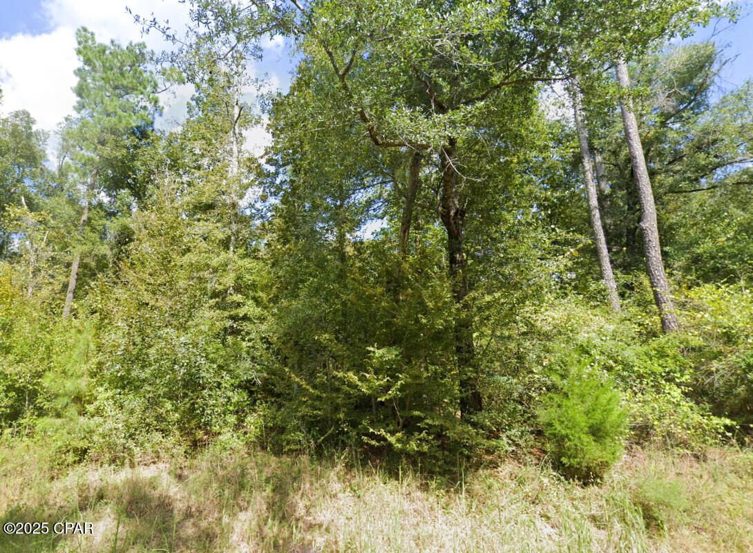 Image 1 For 0 Plantation Circle