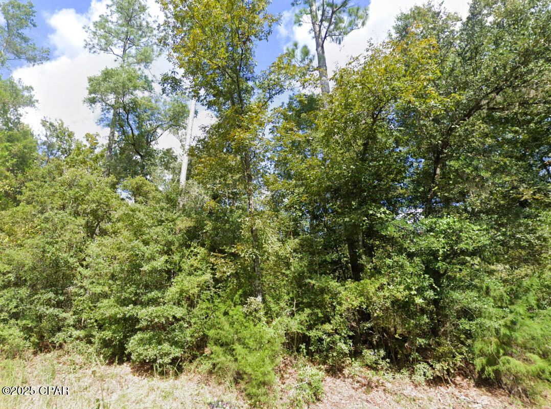 Image 2 For 0 Plantation Circle