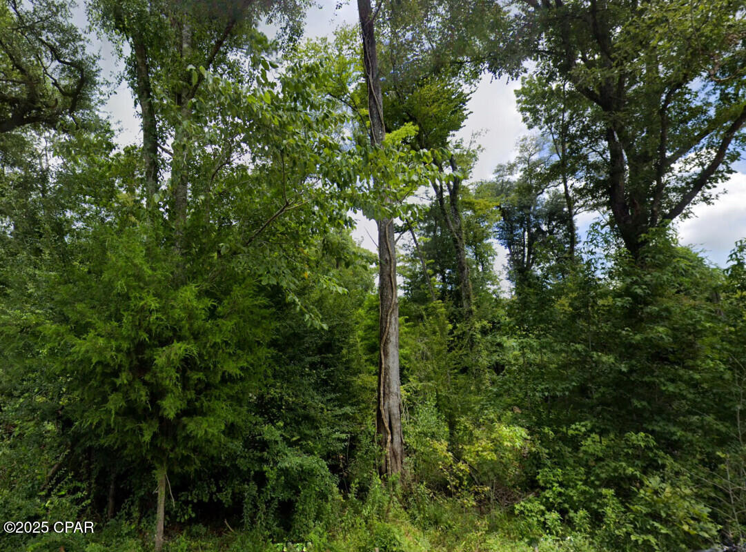 Image 3 For 0 Plantation Circle