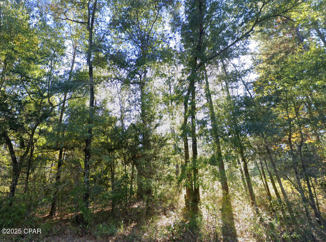 Image 4 For 0 Plantation Circle