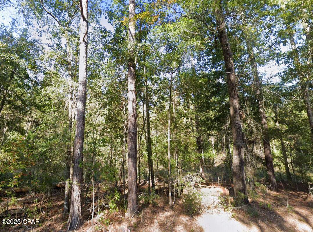 Image 6 For 0 Plantation Circle