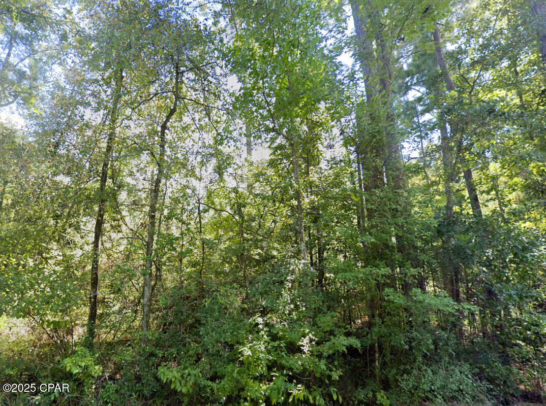 Image 8 For 0 Plantation Circle