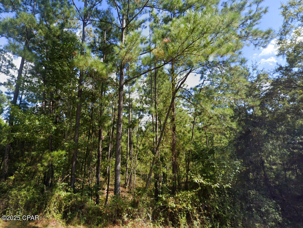 Image 9 For 0 Plantation Circle