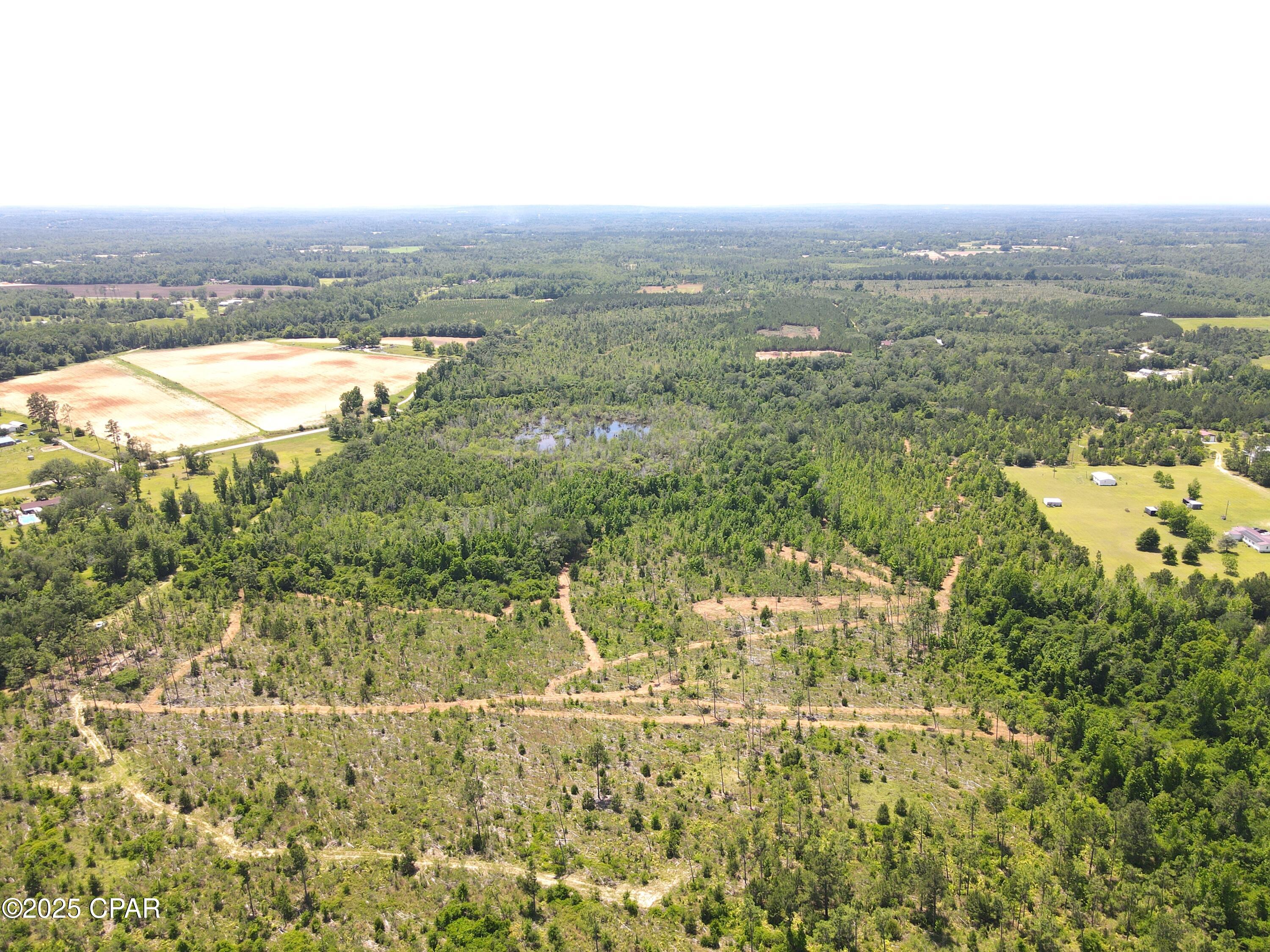 Betlehem Road, Cottondale, Florida image 1