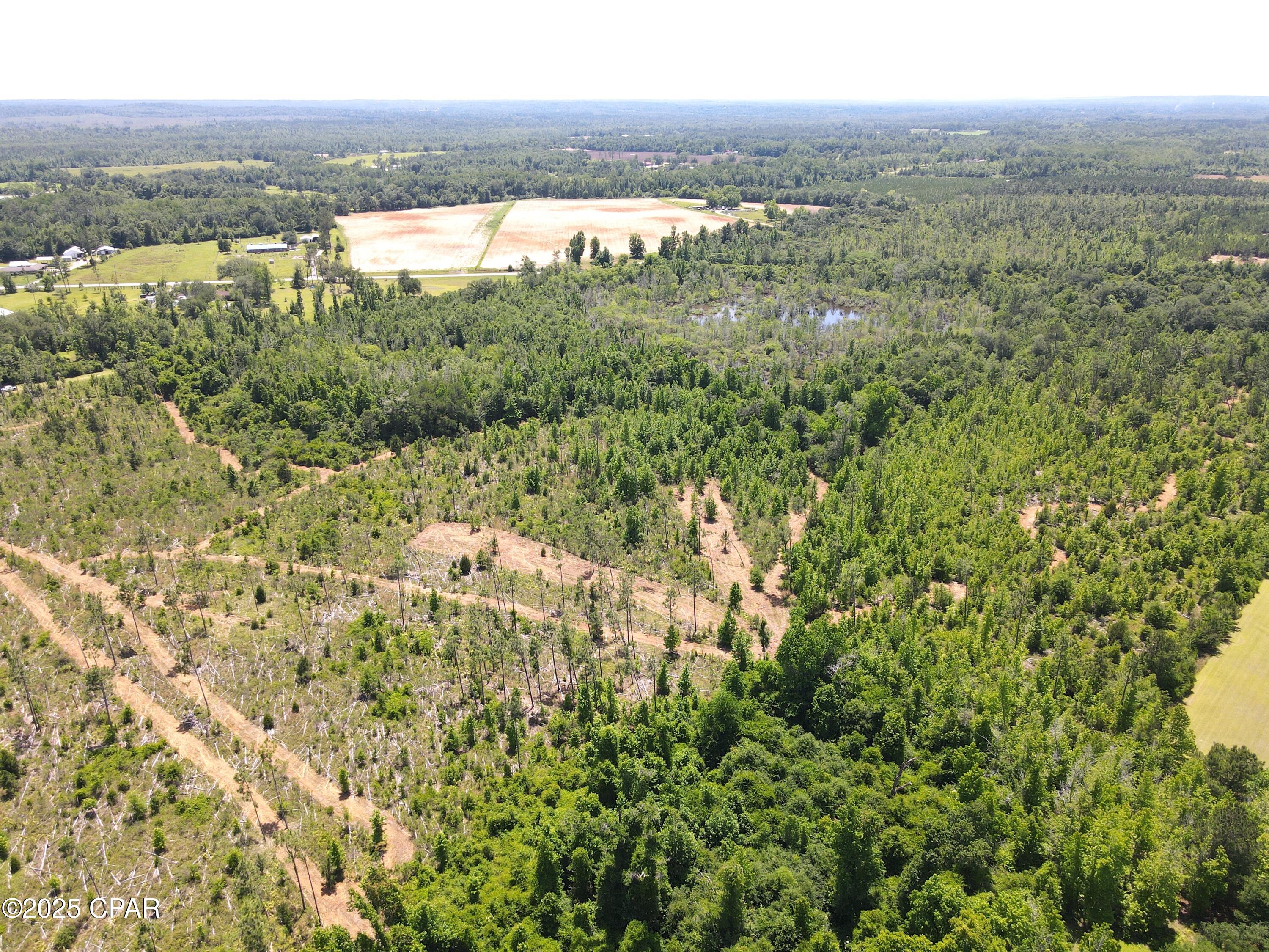 Betlehem Road, Cottondale, Florida image 10
