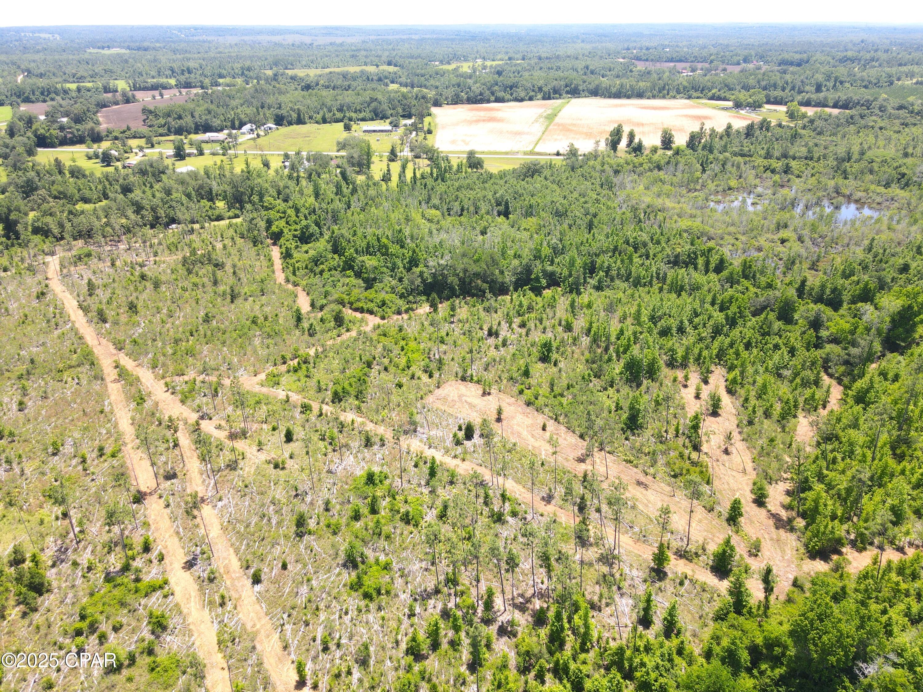 Betlehem Road, Cottondale, Florida image 11