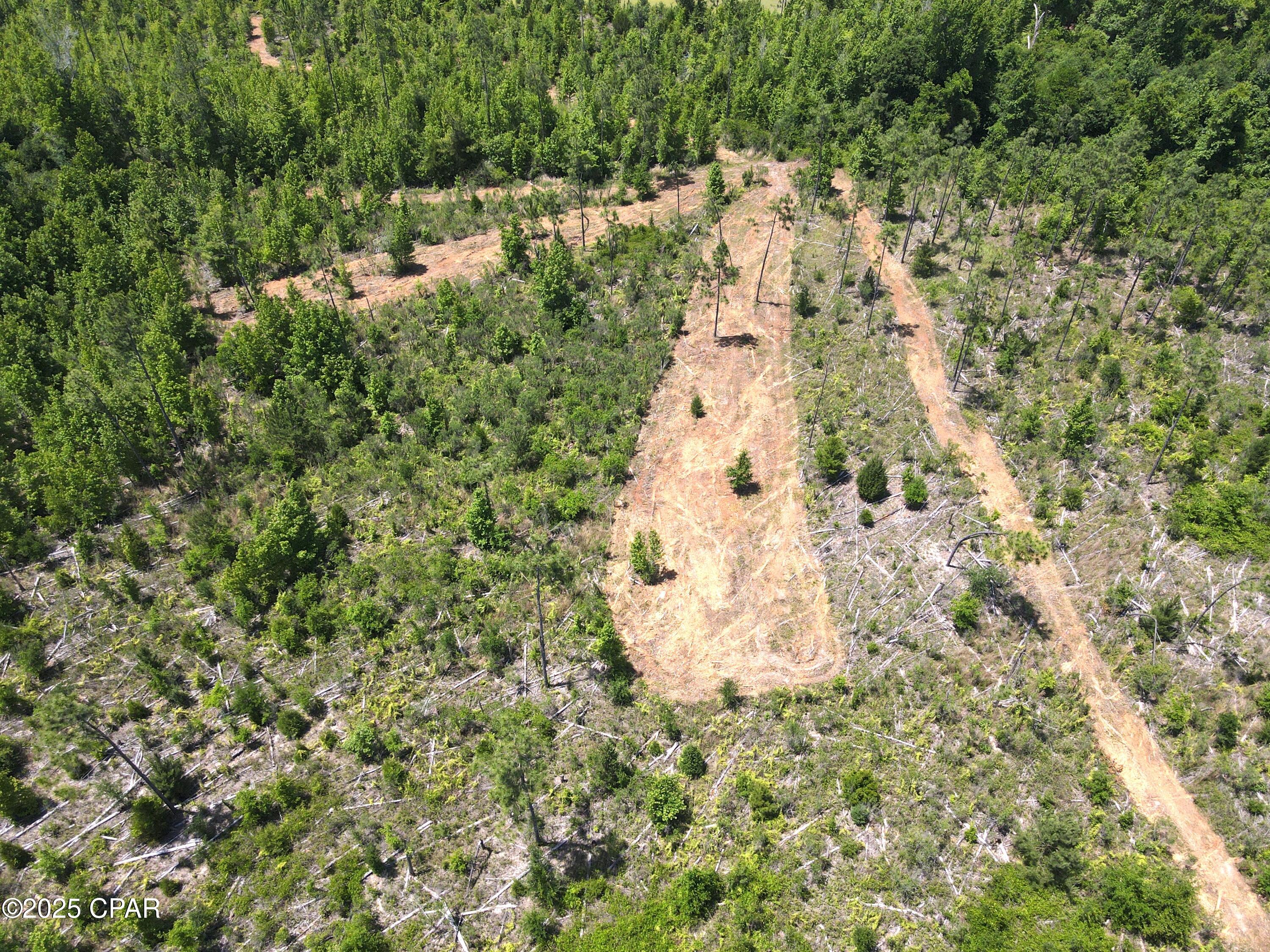 Betlehem Road, Cottondale, Florida image 12