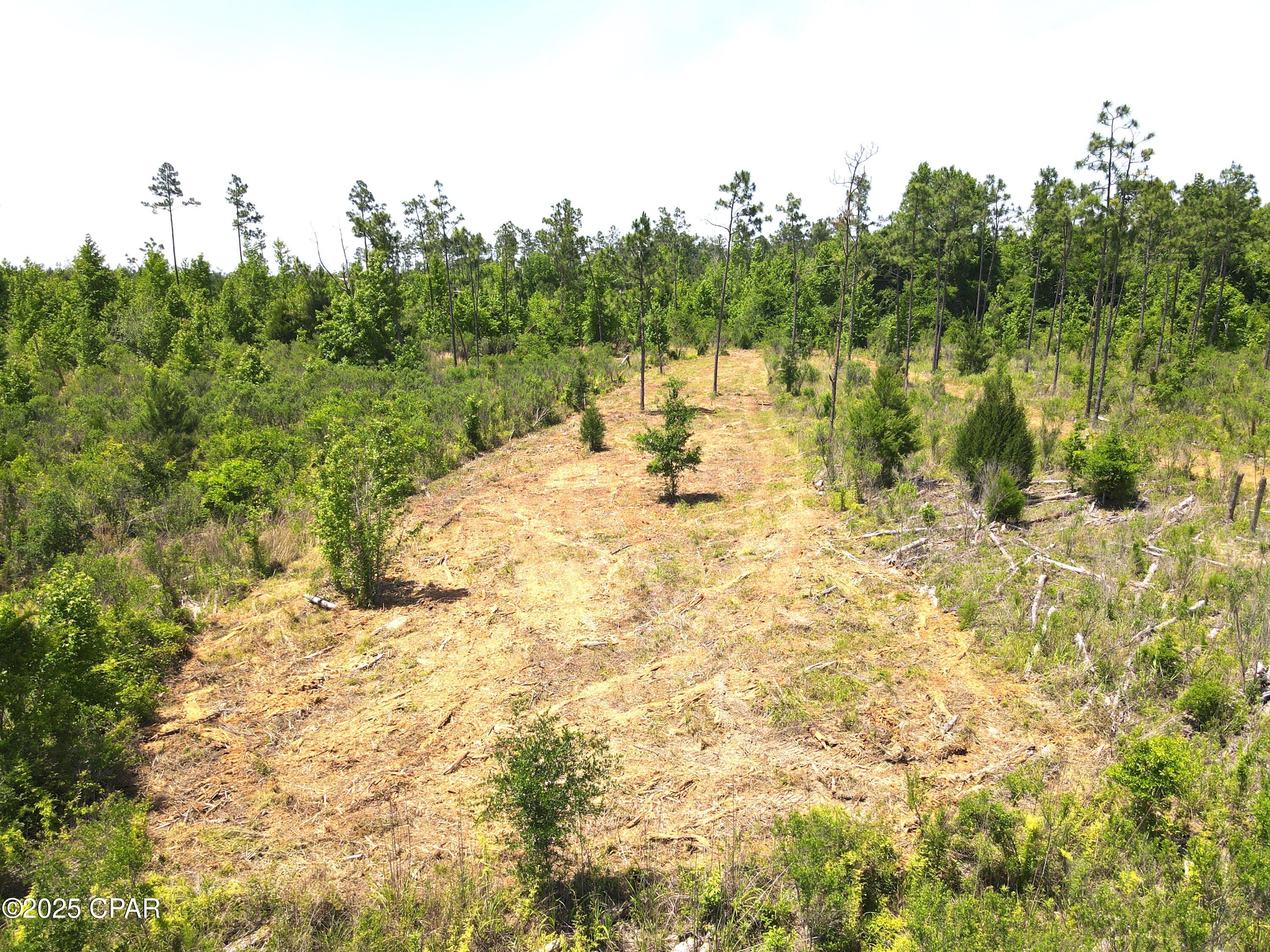 Betlehem Road, Cottondale, Florida image 14