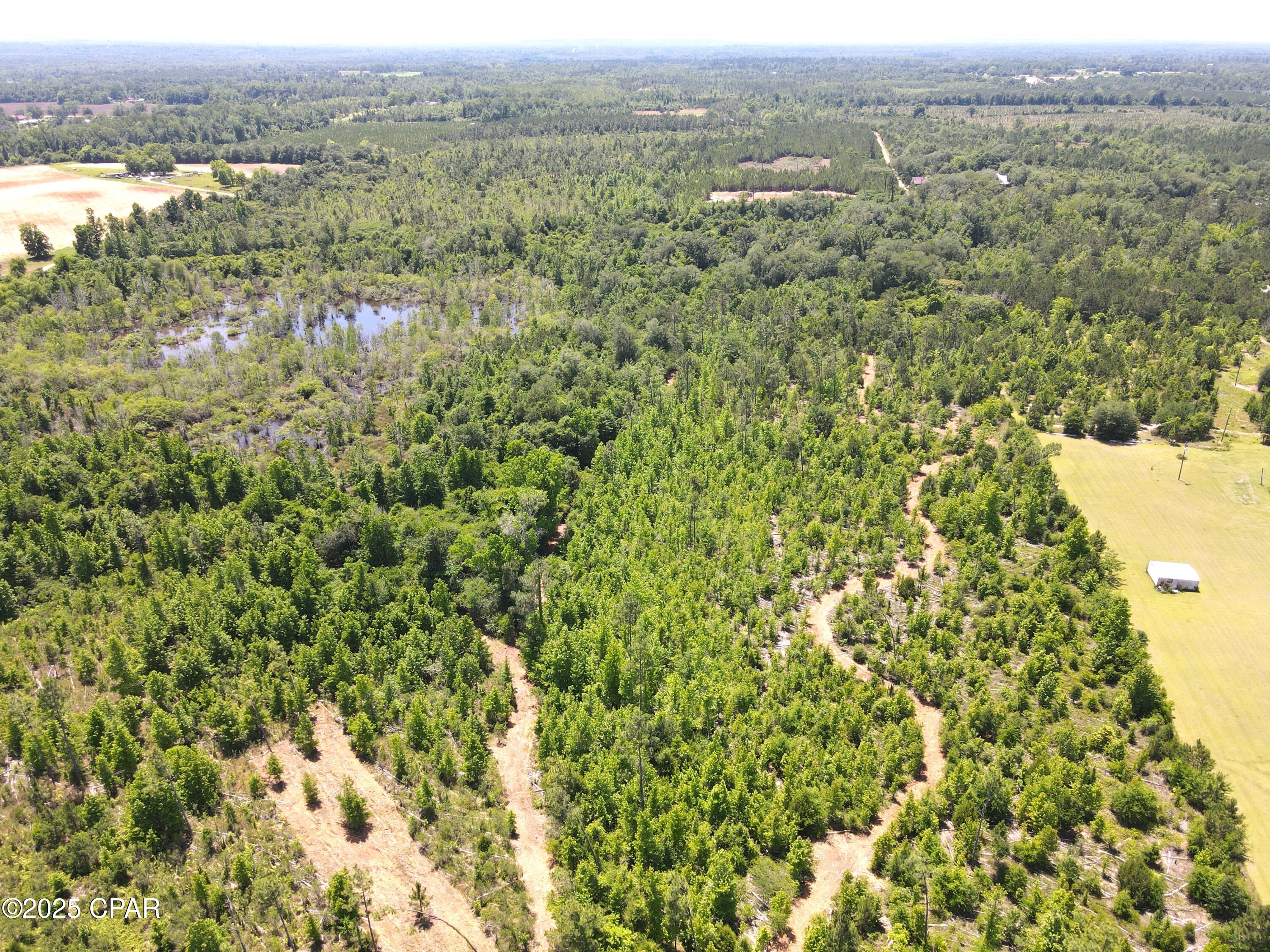 Betlehem Road, Cottondale, Florida image 15