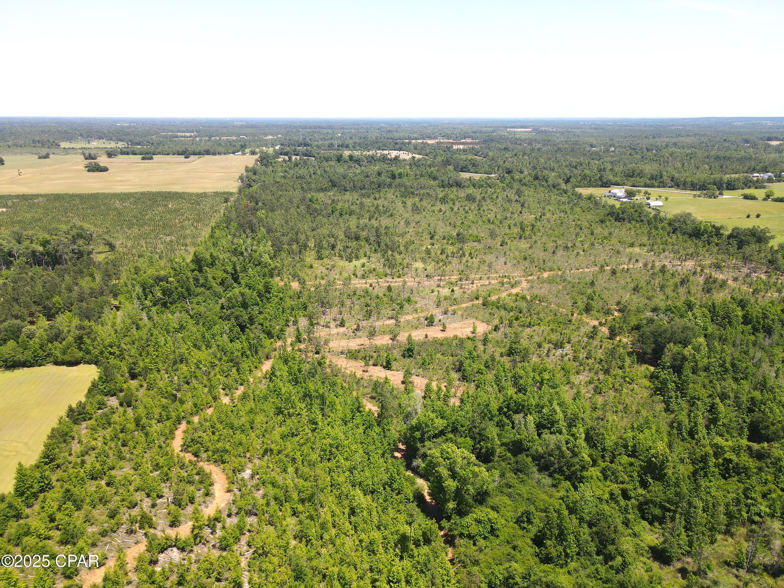 Betlehem Road, Cottondale, Florida image 16