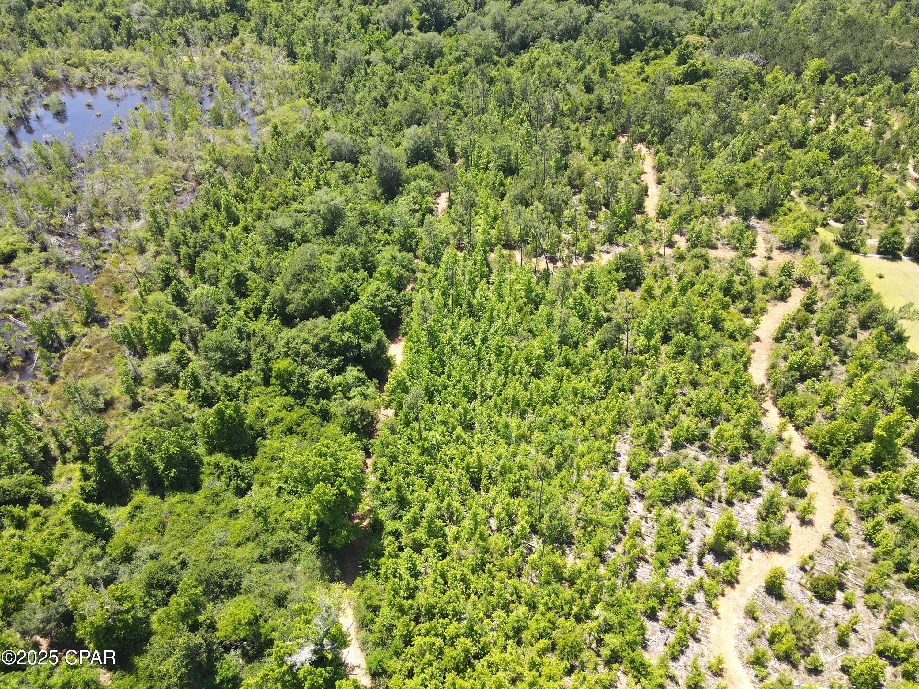 Betlehem Road, Cottondale, Florida image 17