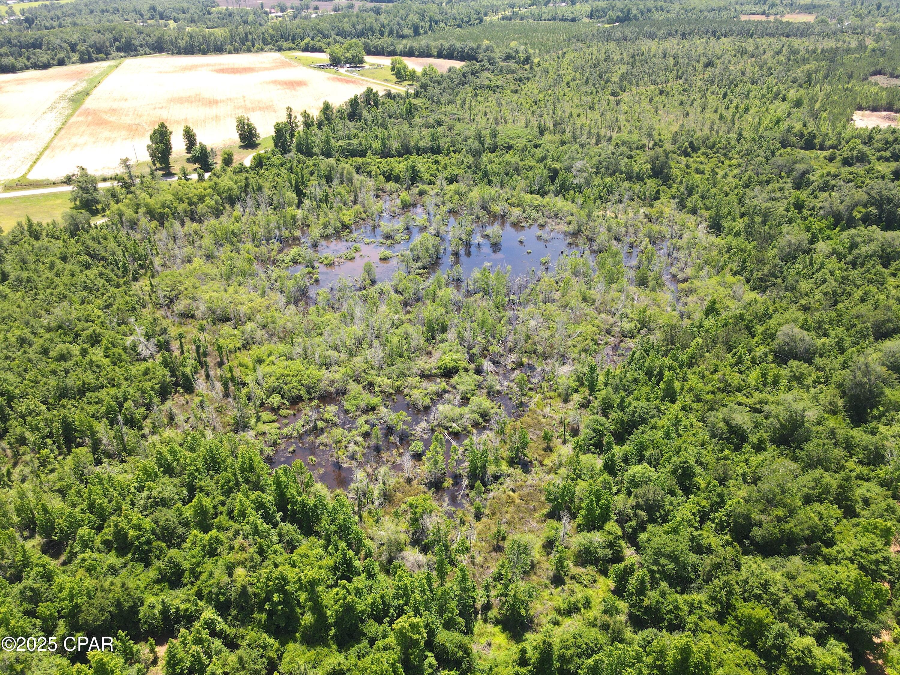 Betlehem Road, Cottondale, Florida image 18