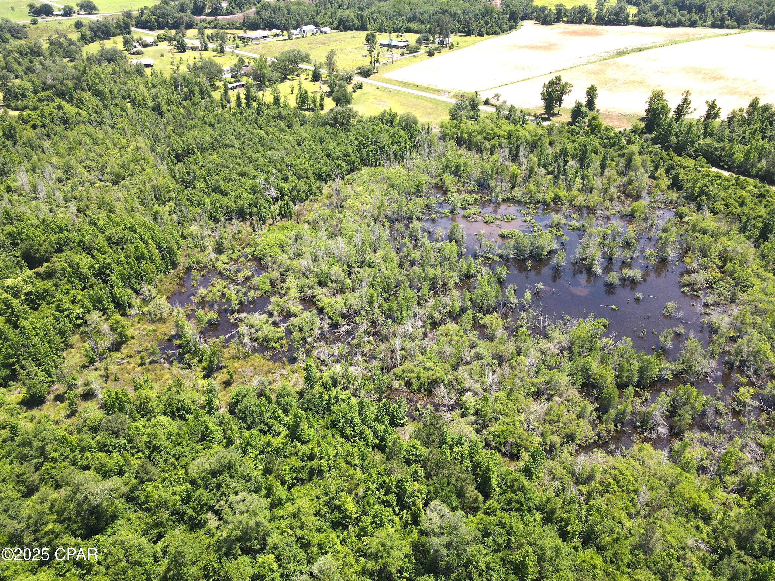 Betlehem Road, Cottondale, Florida image 19