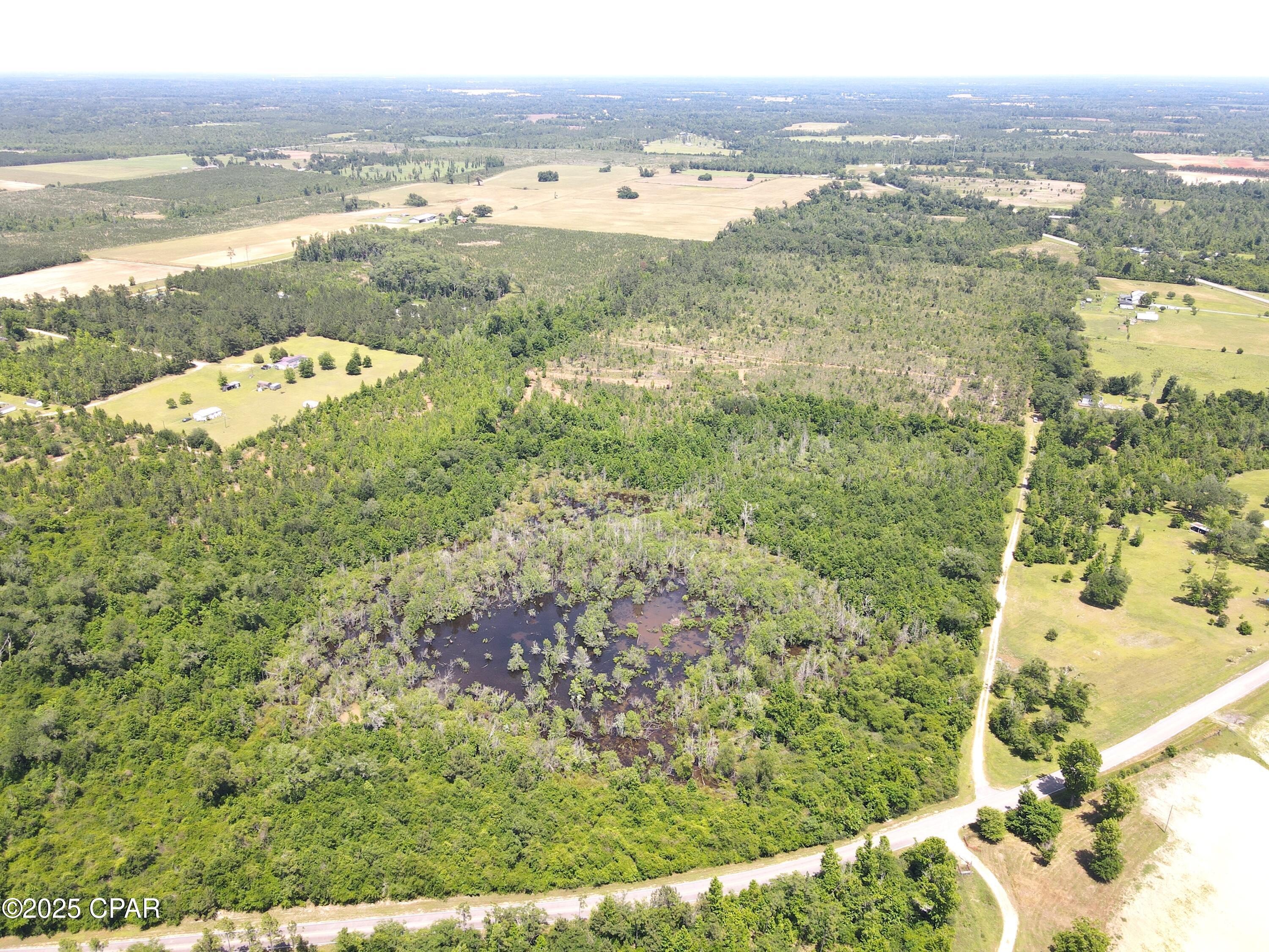 Betlehem Road, Cottondale, Florida image 2