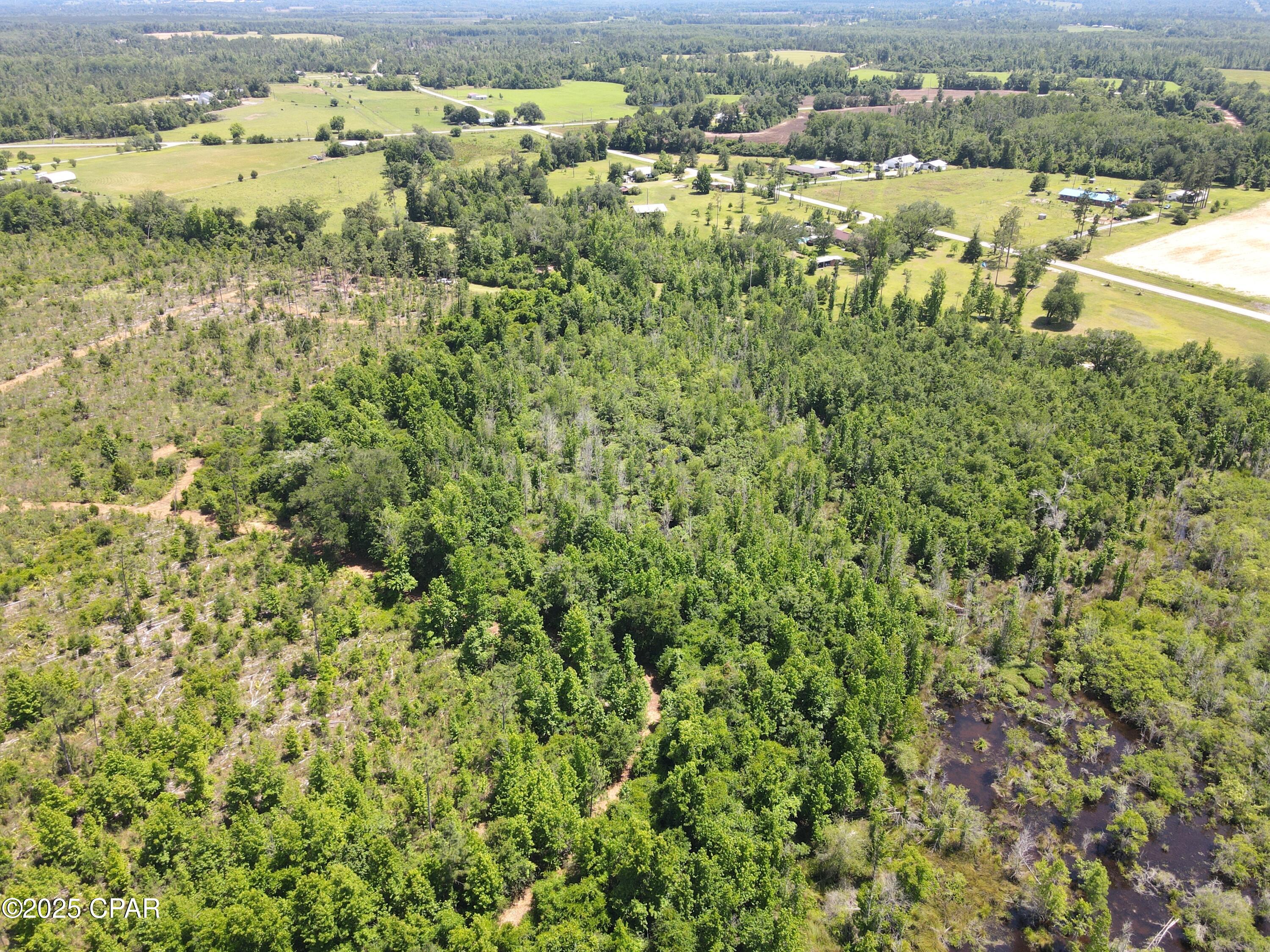 Betlehem Road, Cottondale, Florida image 20