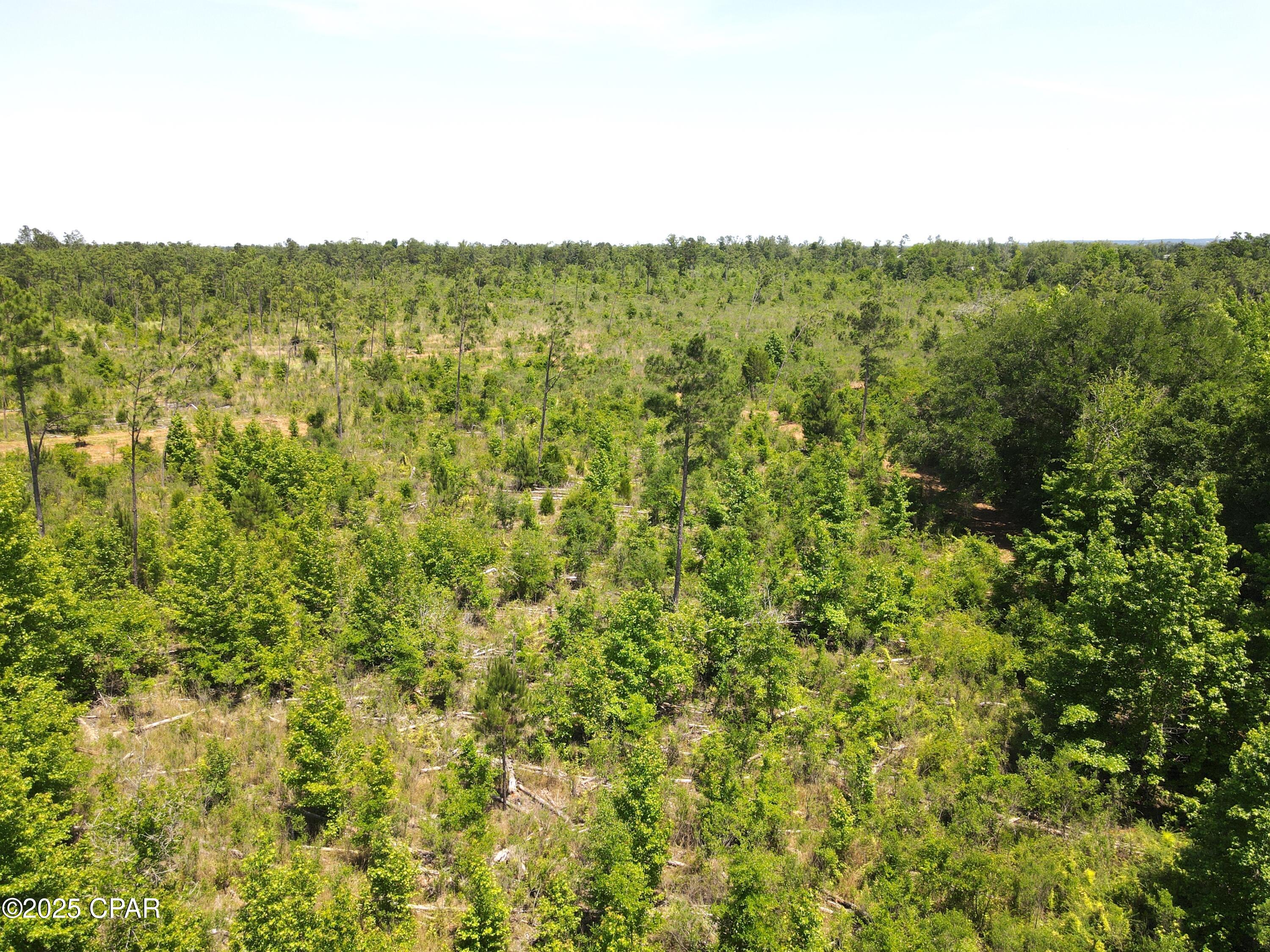 Betlehem Road, Cottondale, Florida image 21