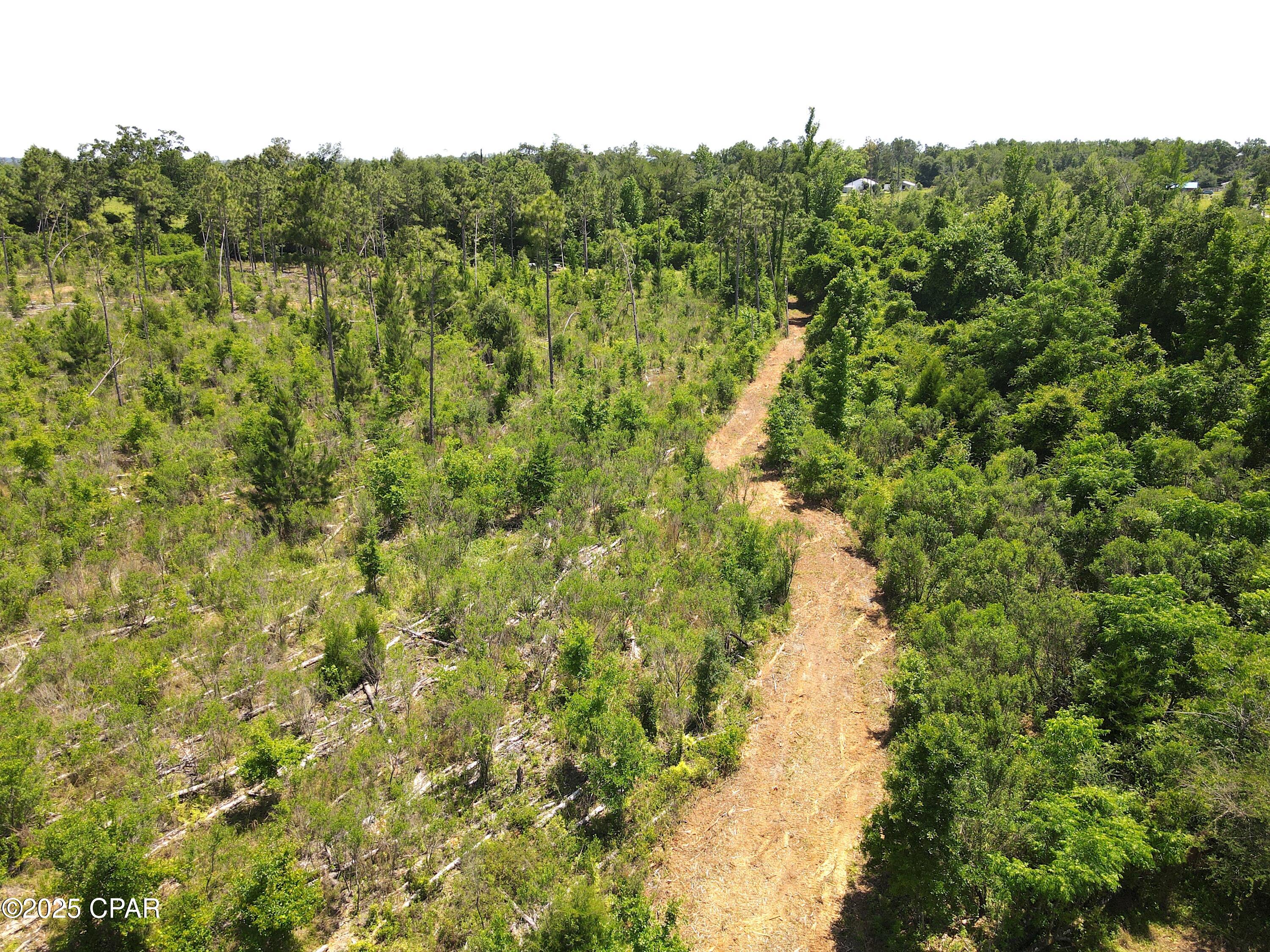 Betlehem Road, Cottondale, Florida image 22