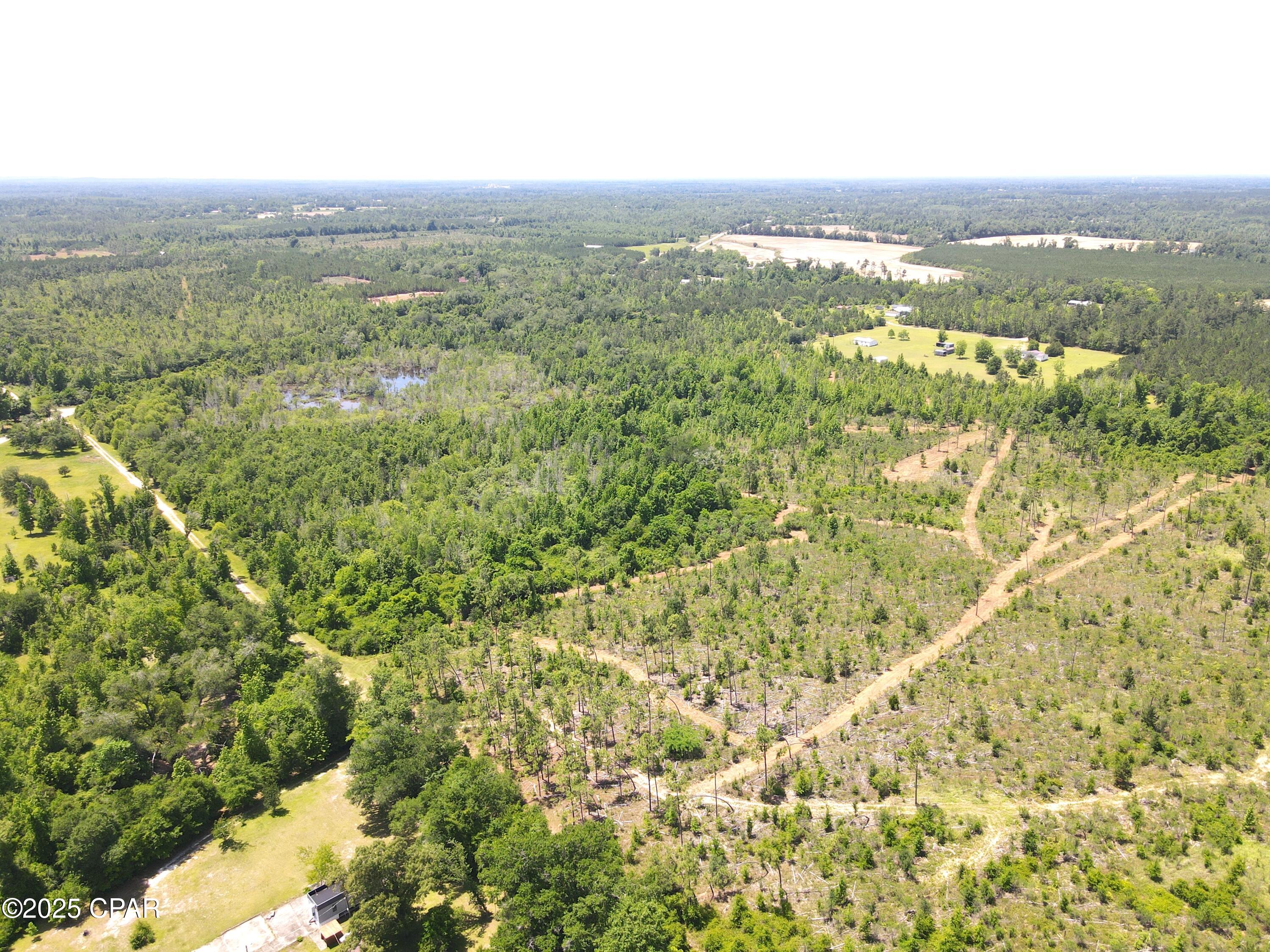 Betlehem Road, Cottondale, Florida image 9
