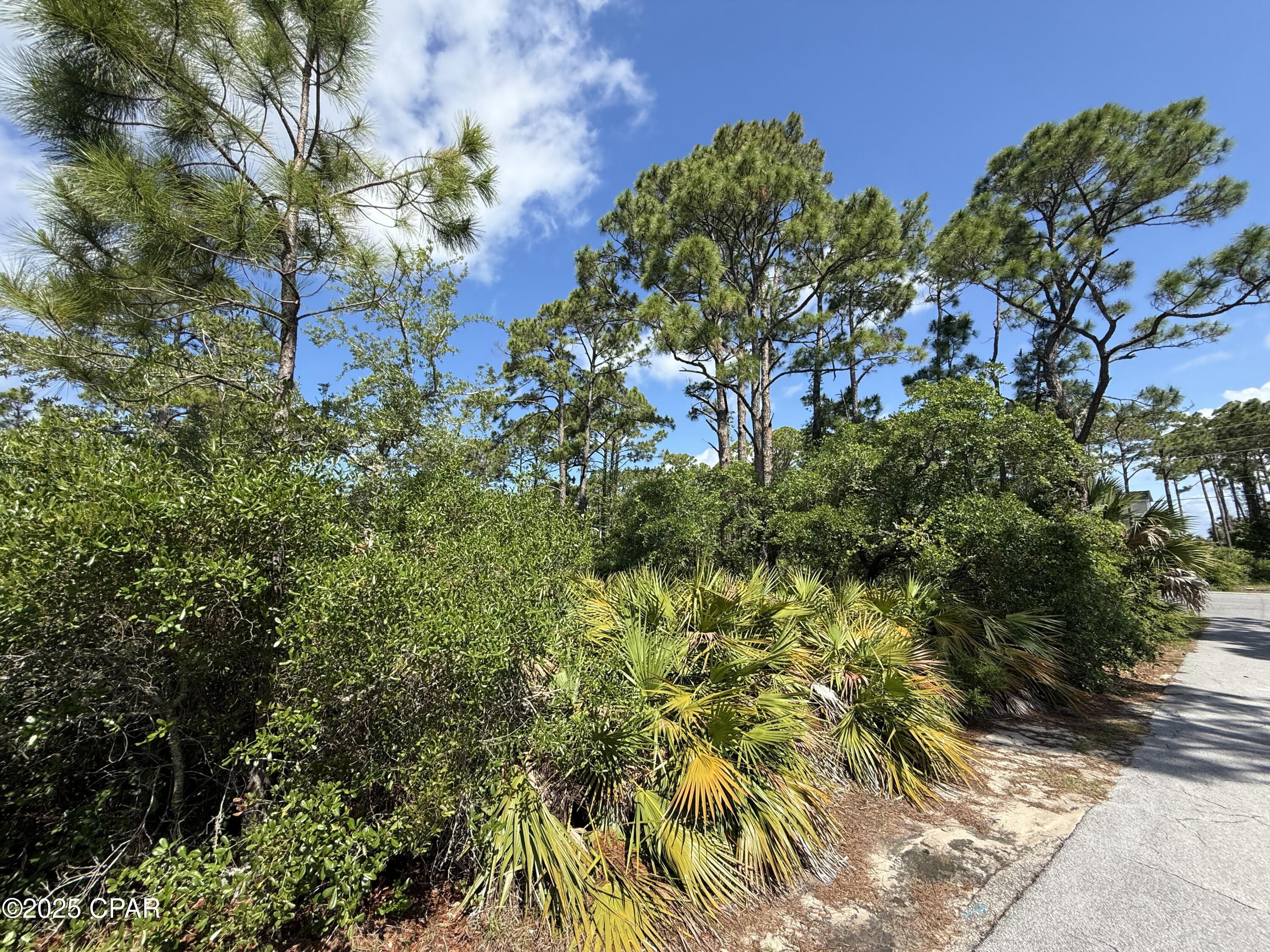 111 Pluto Way, Cape San Blas, Florida image 18