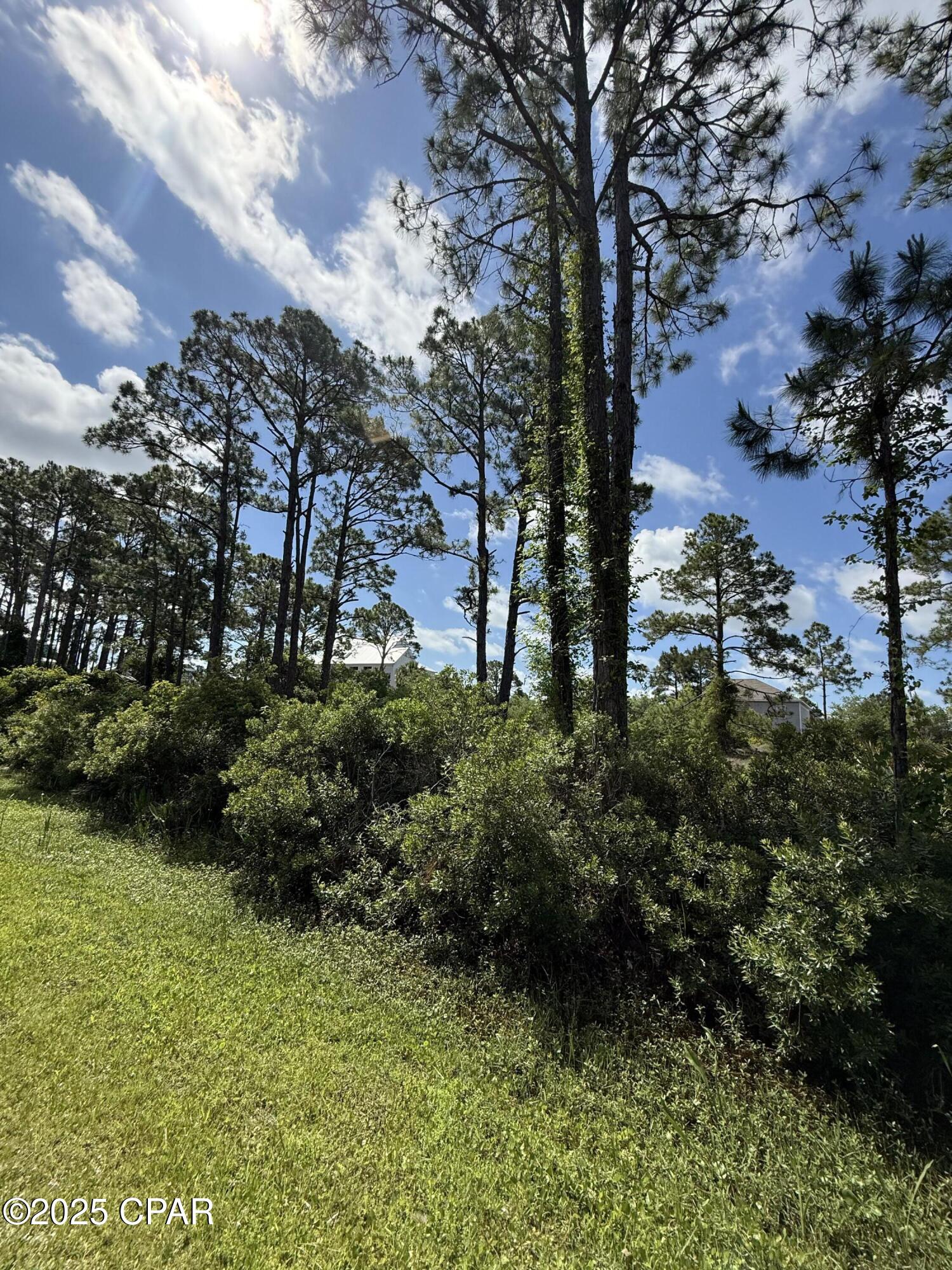 111 Pluto Way, Cape San Blas, Florida image 4