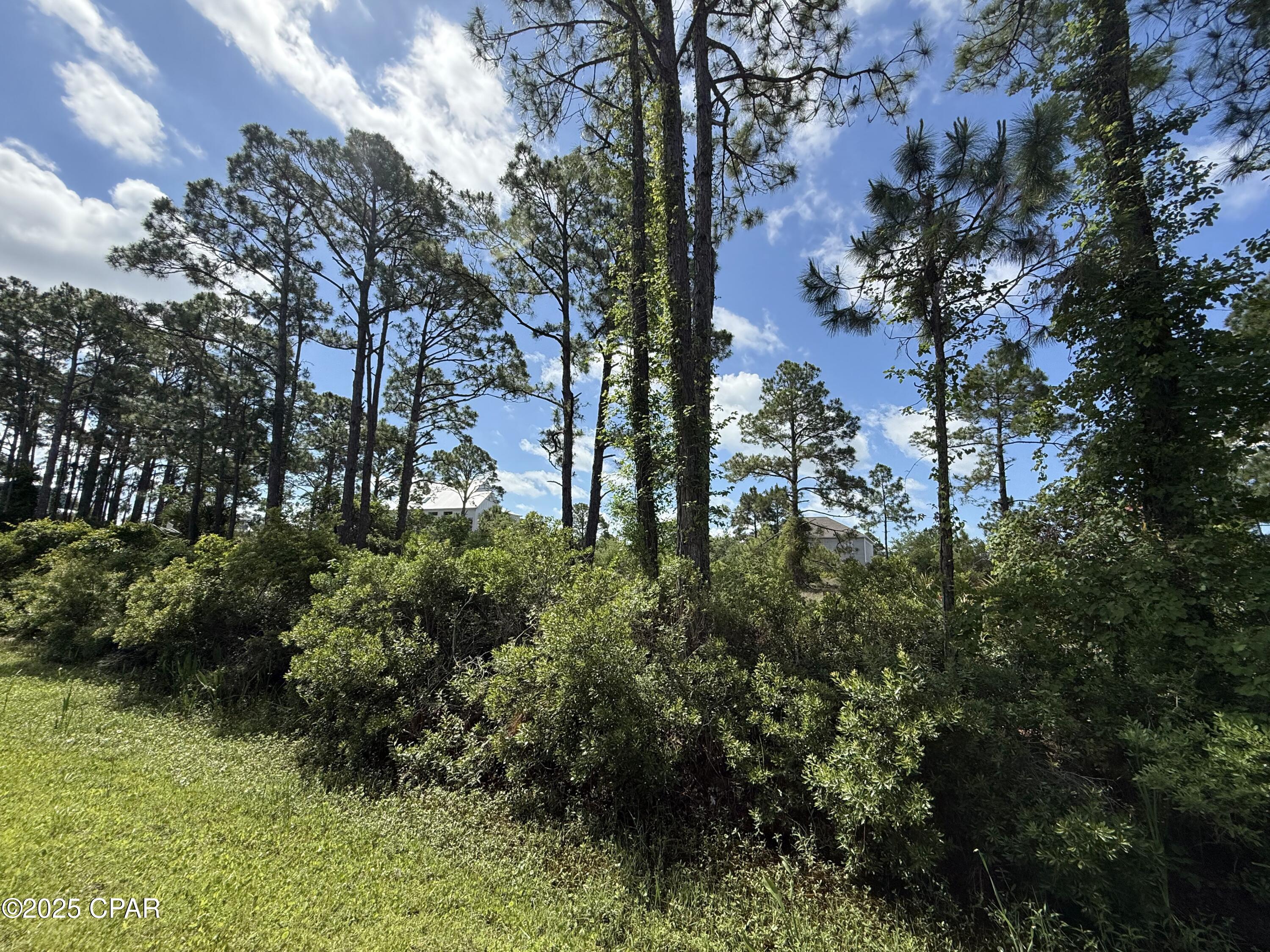 111 Pluto Way, Cape San Blas, Florida image 5