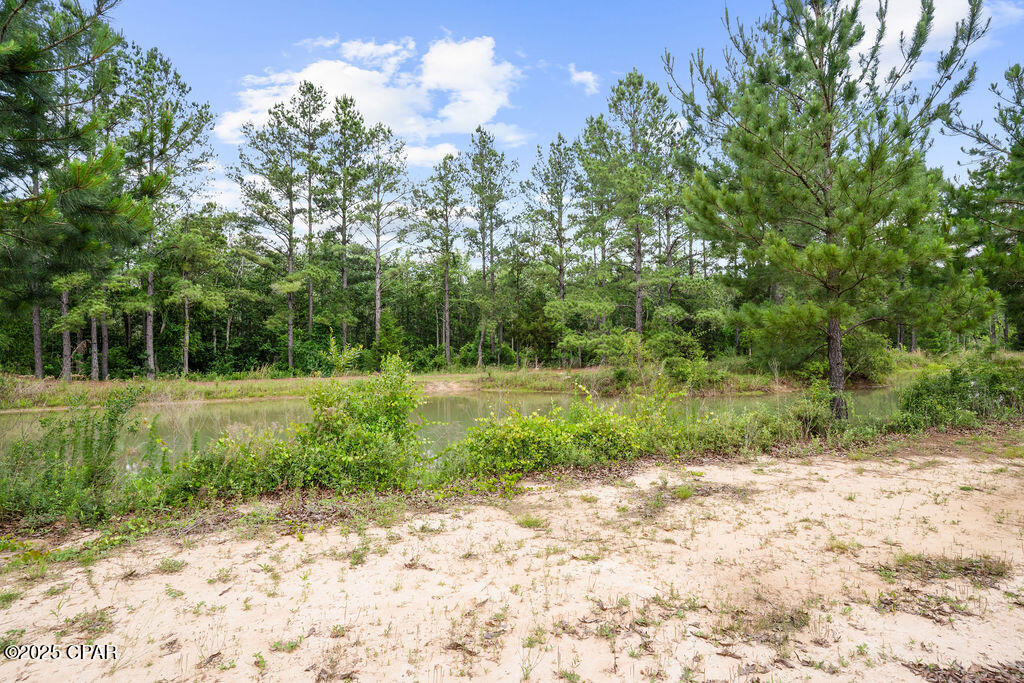 Image 62 For 2280 Boswell Road