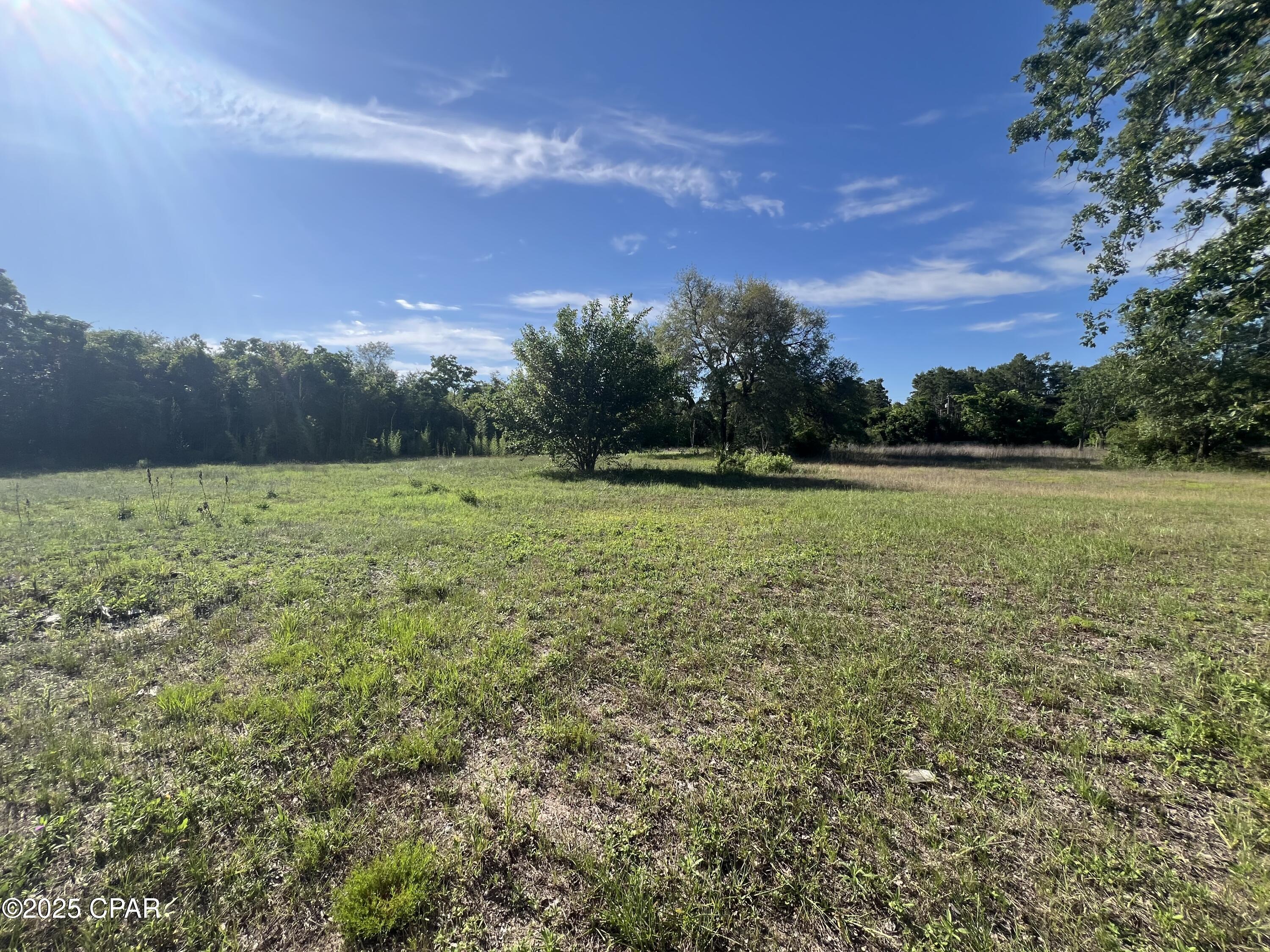 1630 Mylisa Road Road, Southport, Florida image 4