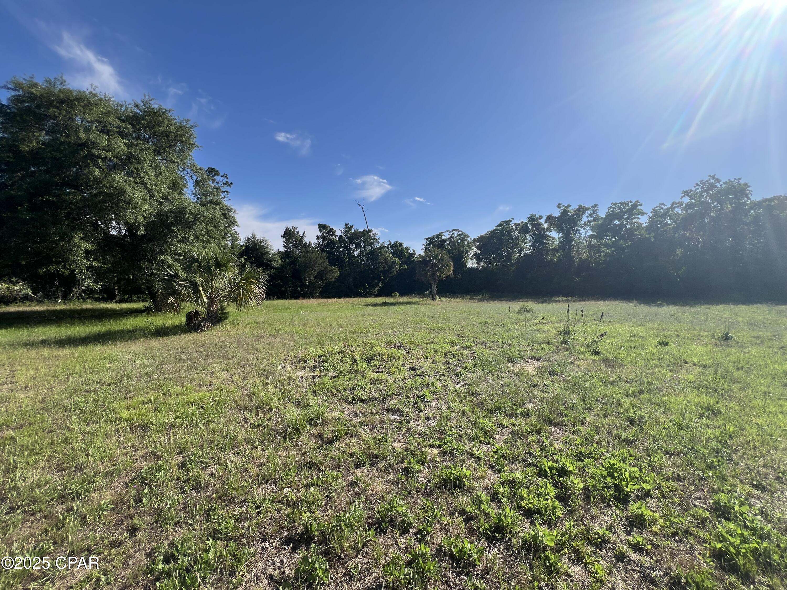 1630 Mylisa Road Road, Southport, Florida image 5