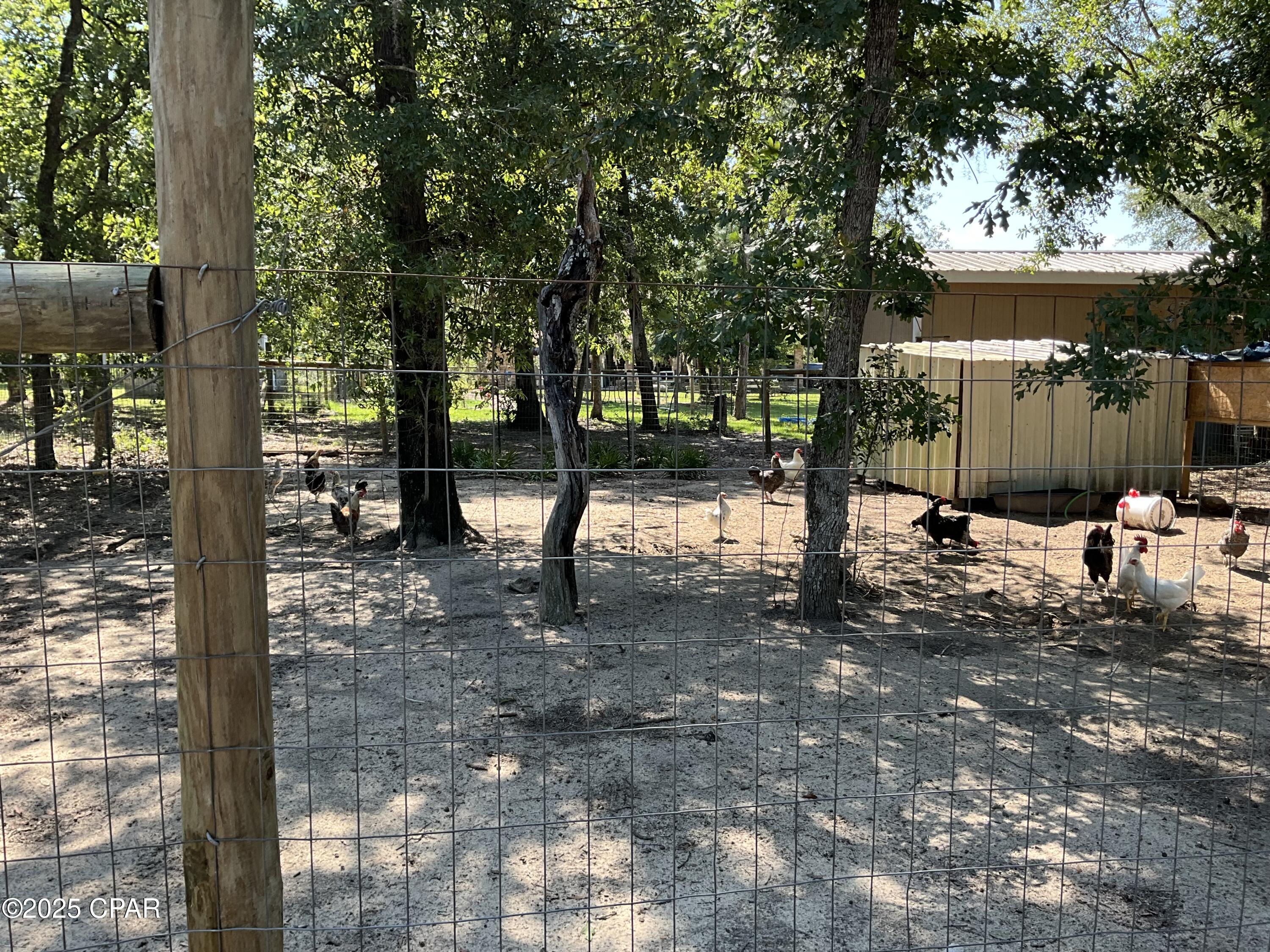 3021 Holmes Valley Road, Vernon, Florida image 18