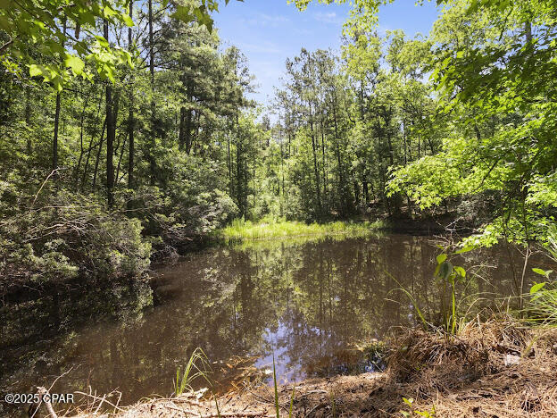 2921 Ambus Lane, Chipley, Florida image 30