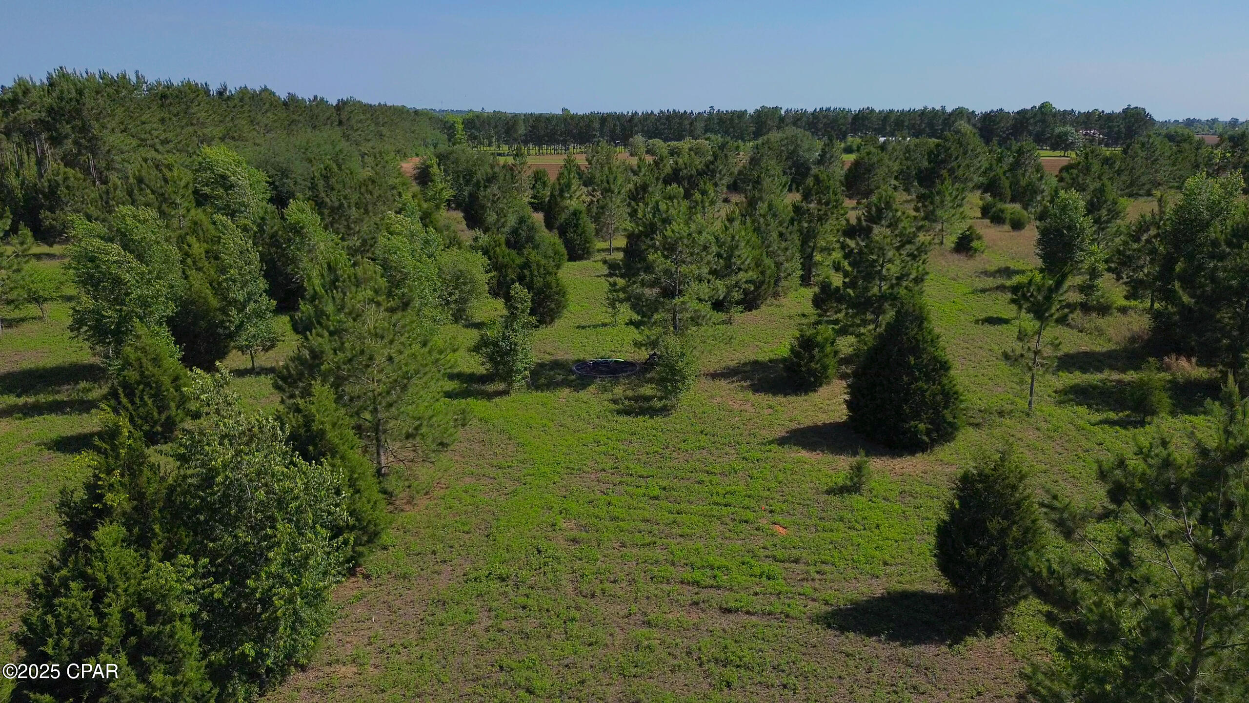 Suncrest Road, Marianna, Florida image 7