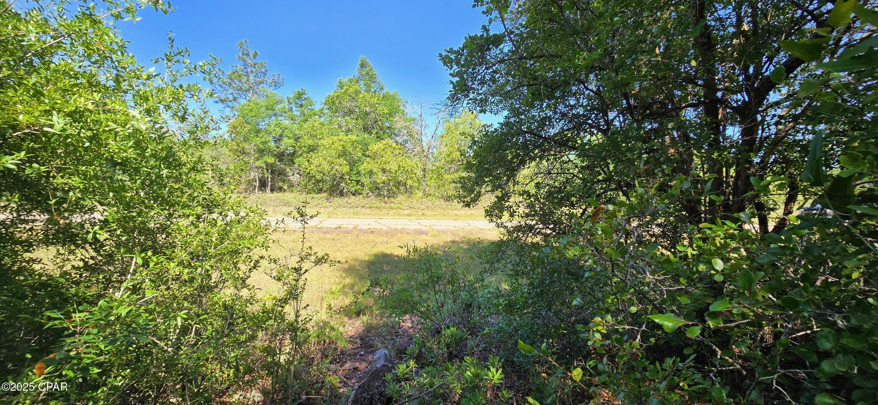 Lot 5 Byrd Boulevard, Chipley, Florida image 2