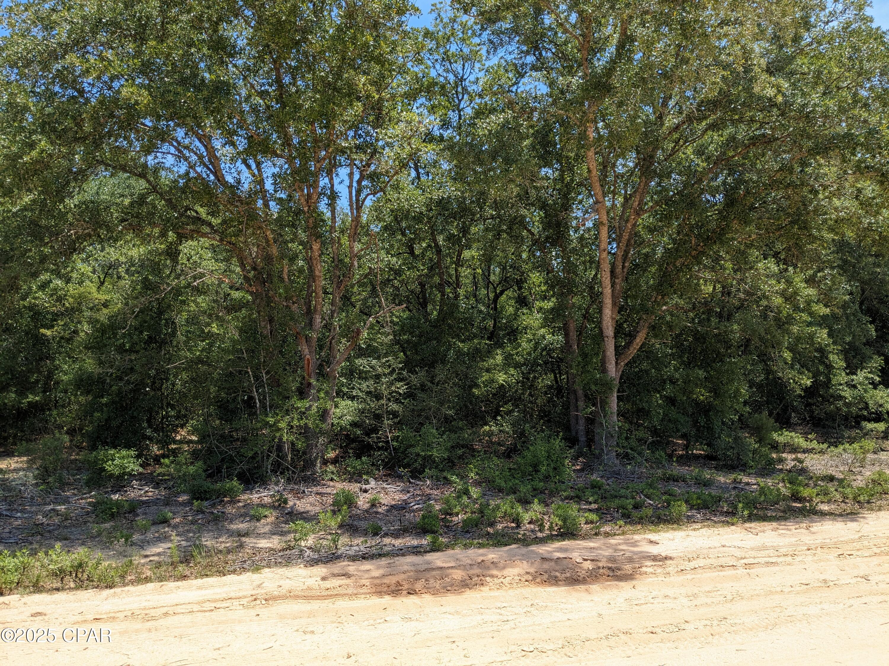 Cherry Circle, Marianna, Florida image 1