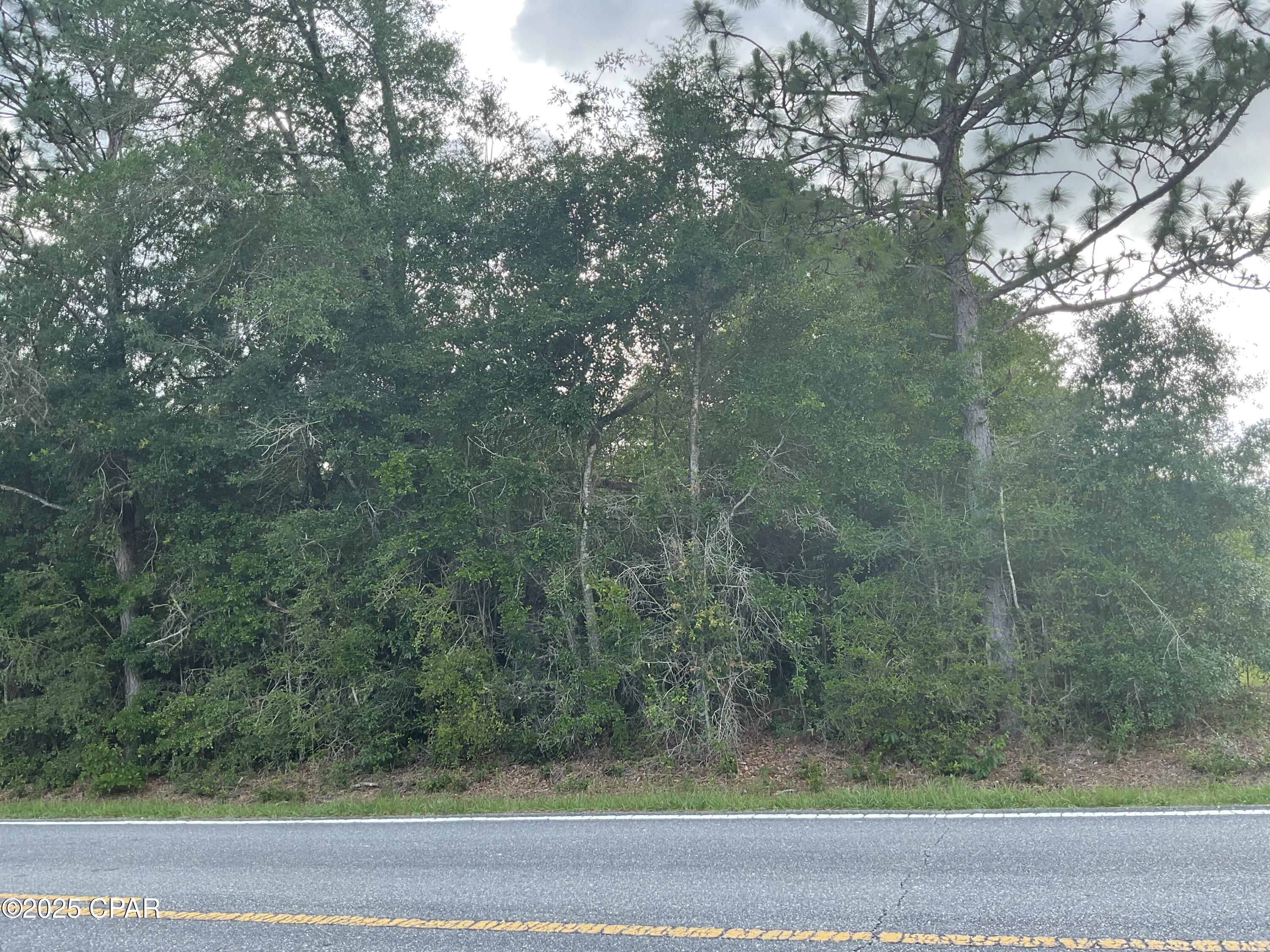 Lakepoint Road, Alford, Florida image 2