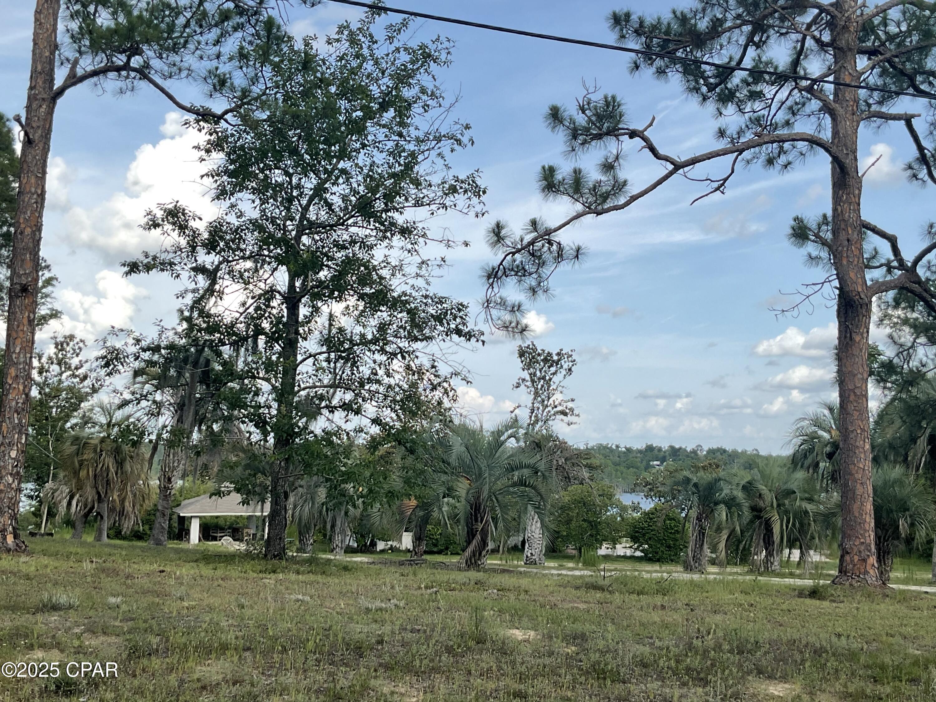 Lakepoint Road, Alford, Florida image 8