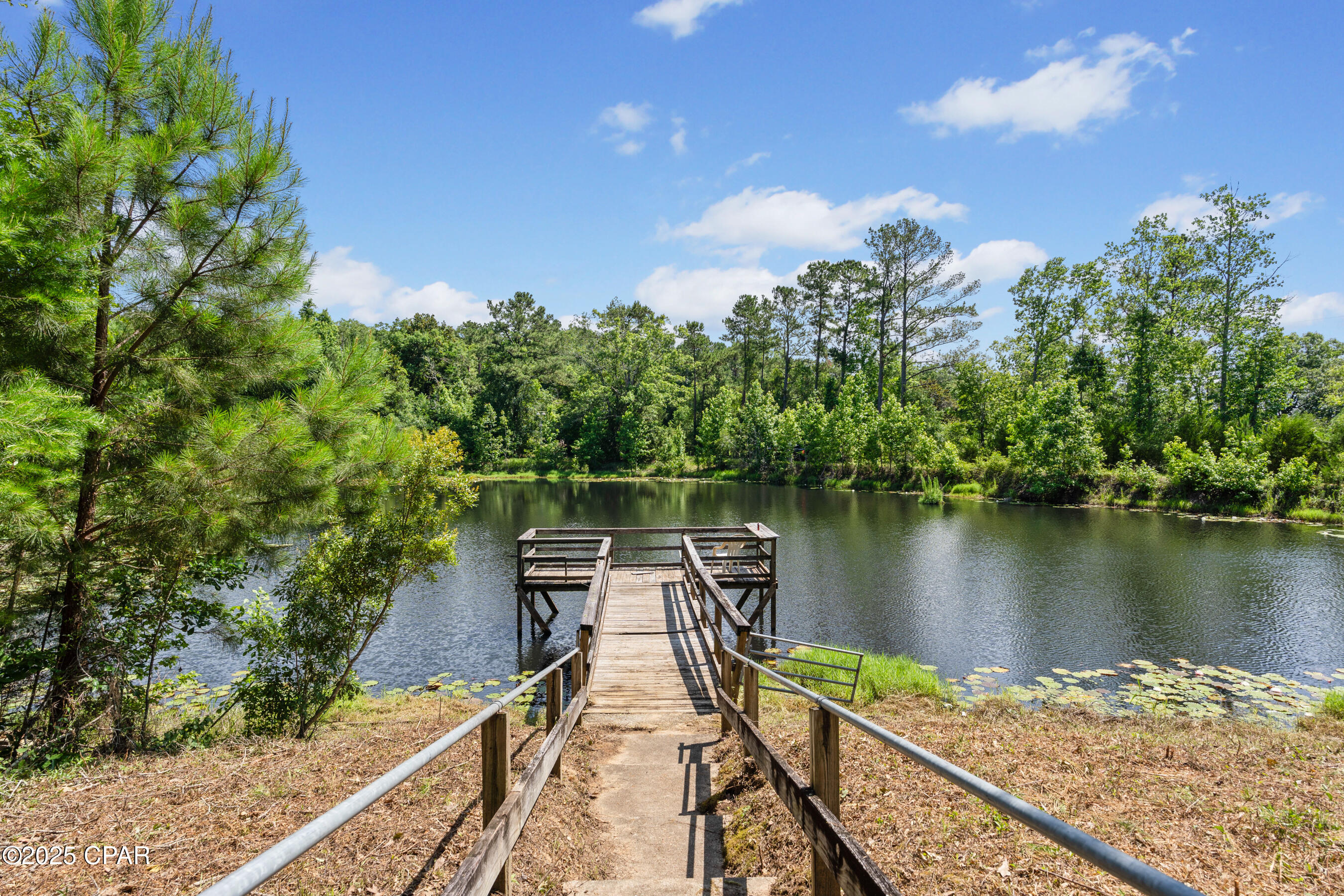 1988 Woodland Road, Cottondale, Florida image 13